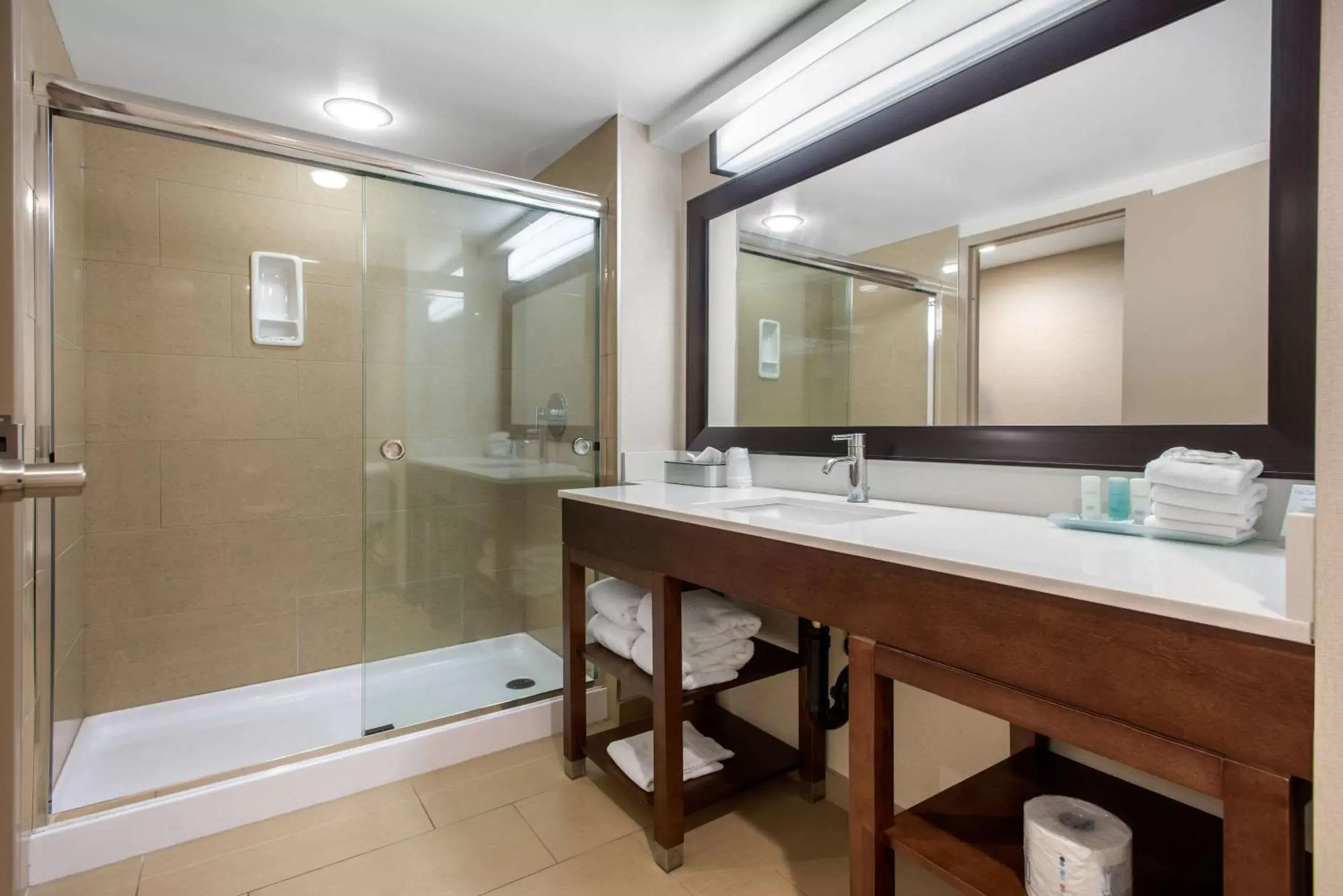 Bathroom in Clarion Hotel & Suites