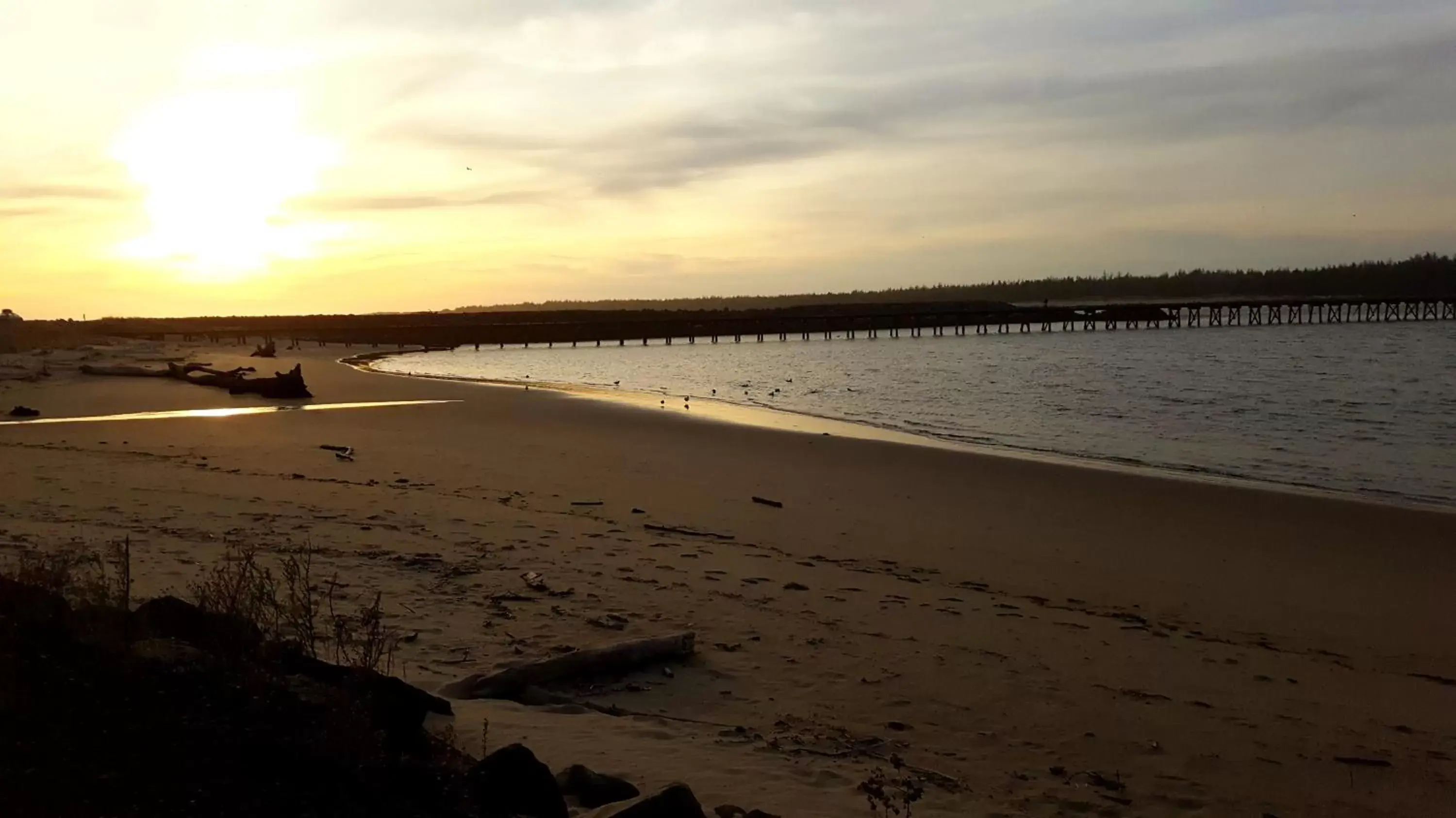 Natural landscape, Beach in Winchester Bay Inn