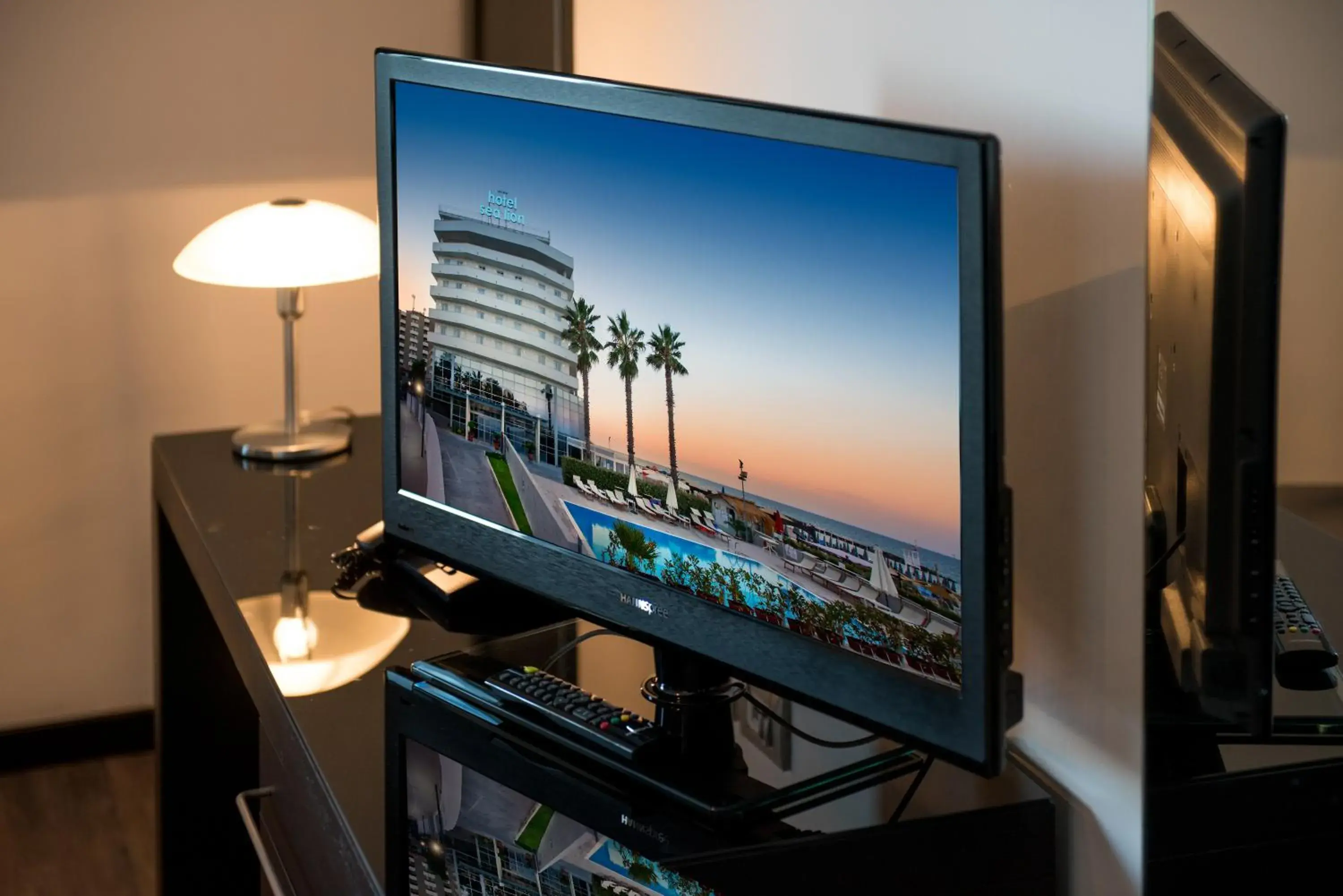 TV and multimedia, TV/Entertainment Center in Sea Lion Hotel