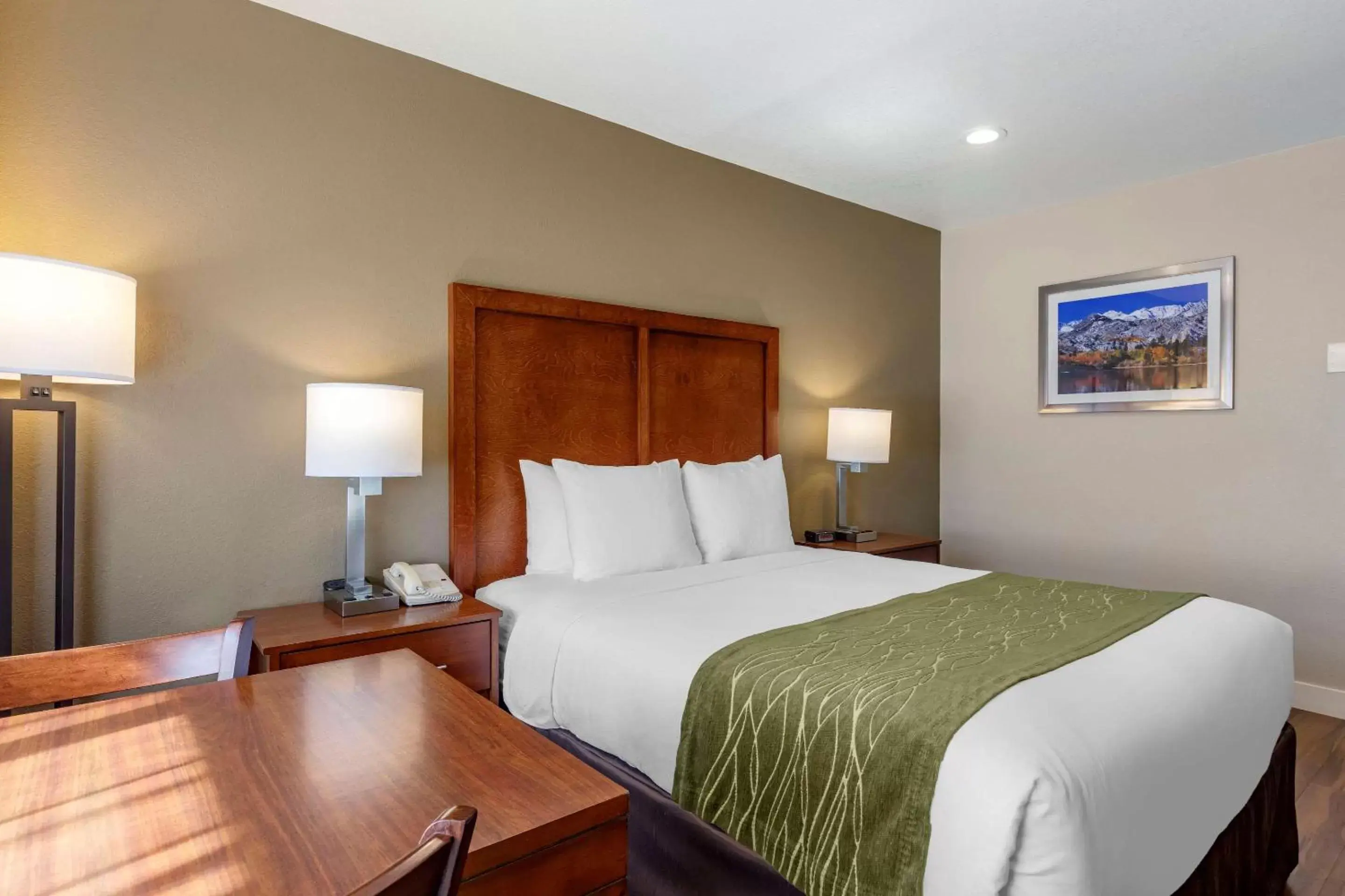 Photo of the whole room, Bed in Comfort Inn Bishop Photo of the whole room, Bed in Comfort Inn Bishop