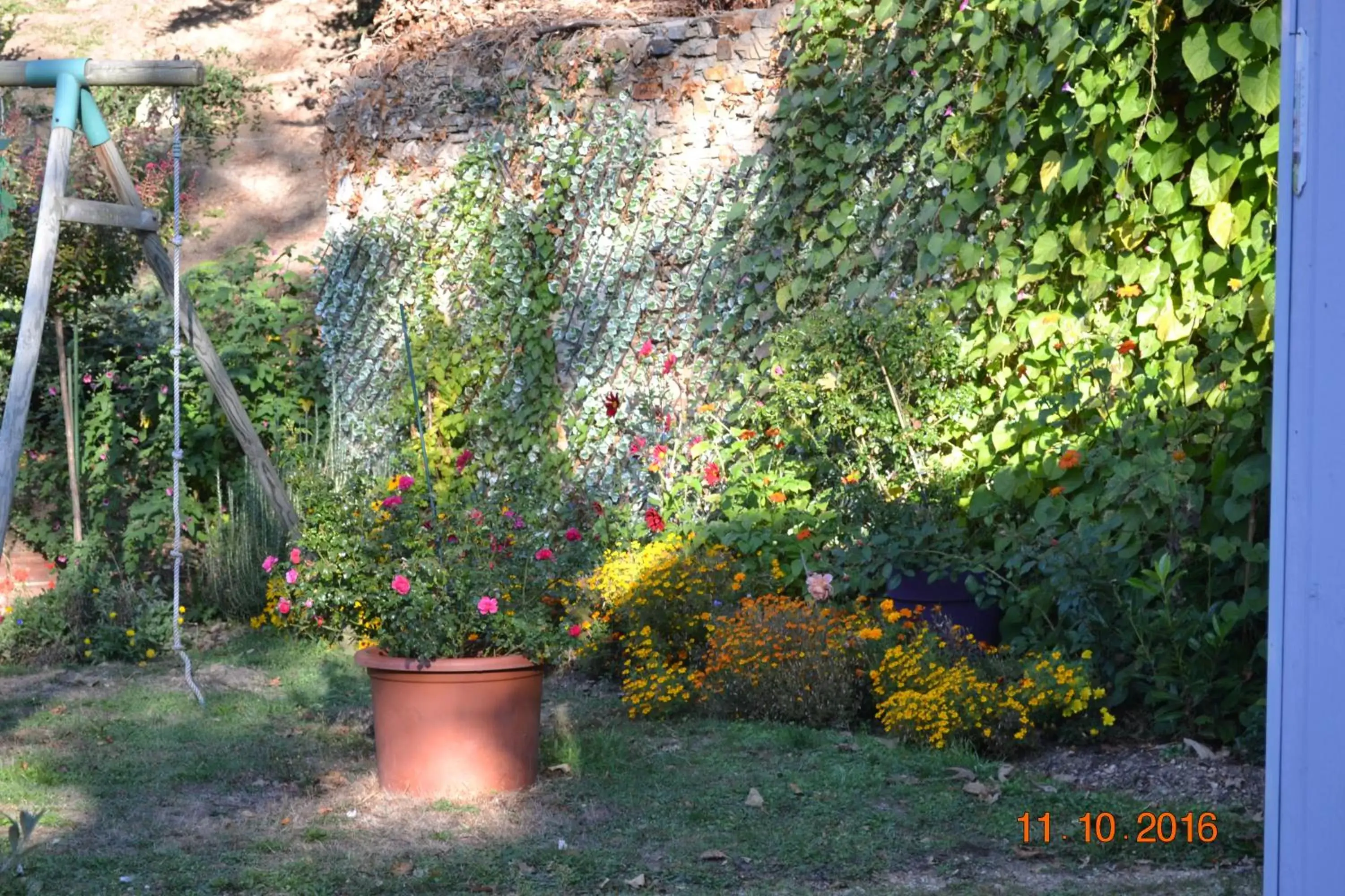 Garden in Hôtel Le Castel