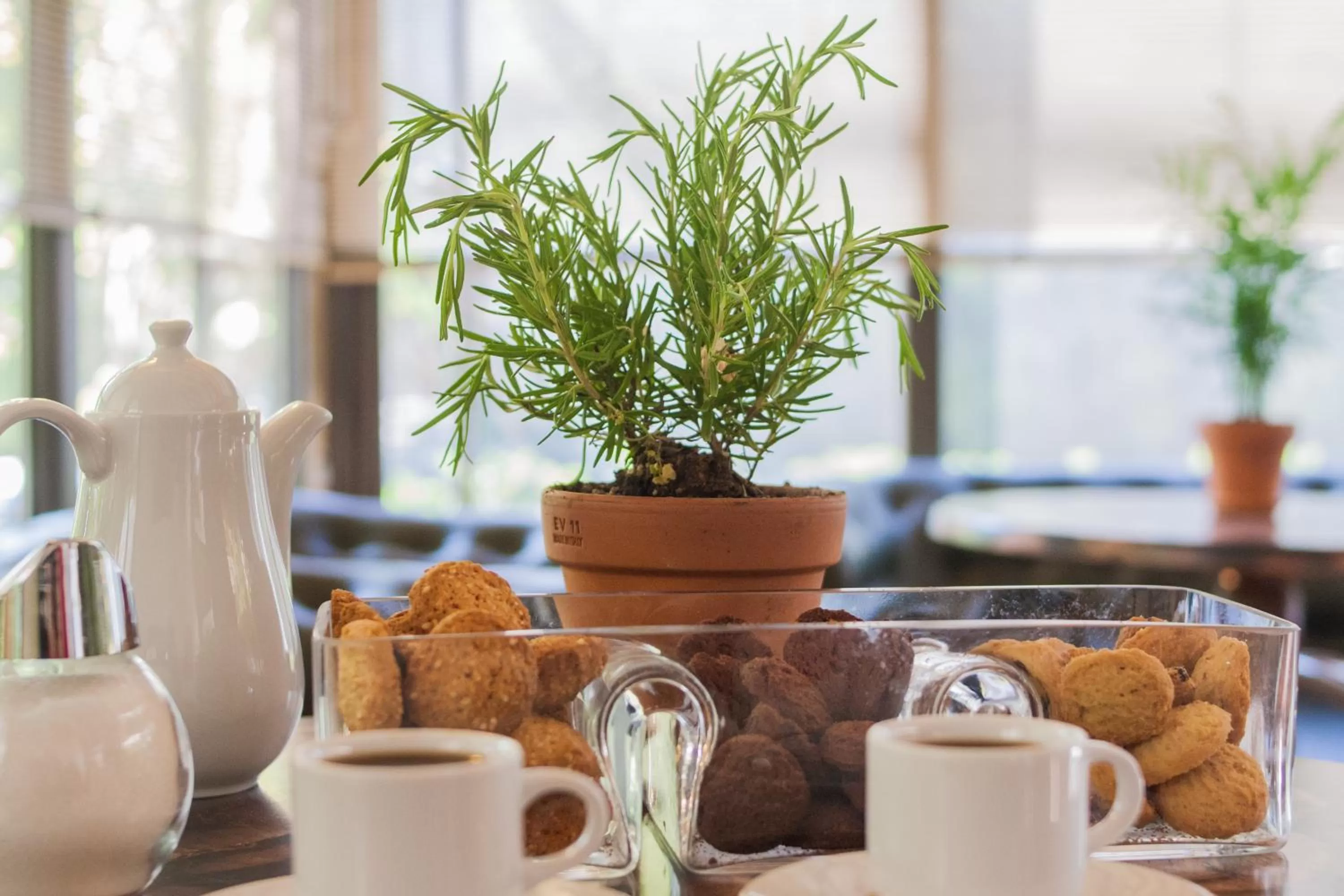 Day, Breakfast in Nestorion Hotel