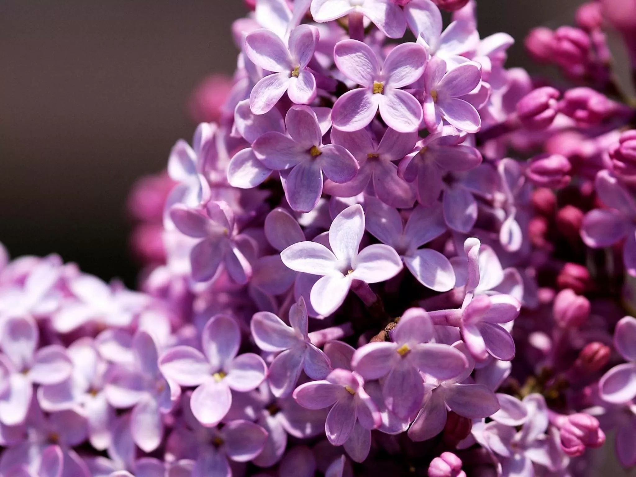 Nearby landmark in APA Hotel & Resort Sapporo