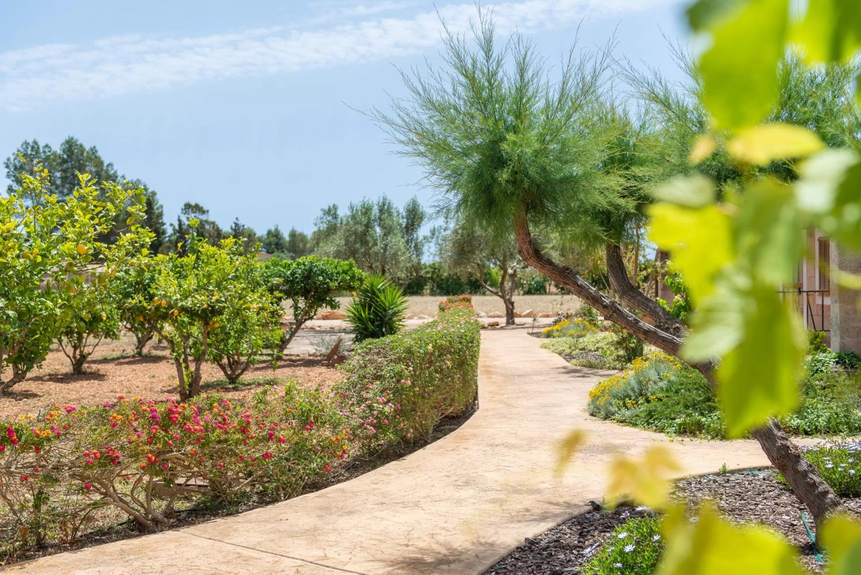 Garden in Finca Hotel Can Canals & Spa