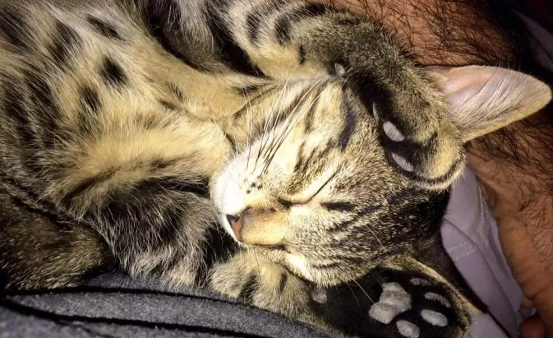 Bastide Bellugue Maison d'hôtes réseau Bienvenue à La Ferme à 3 minutes de Lourmarin