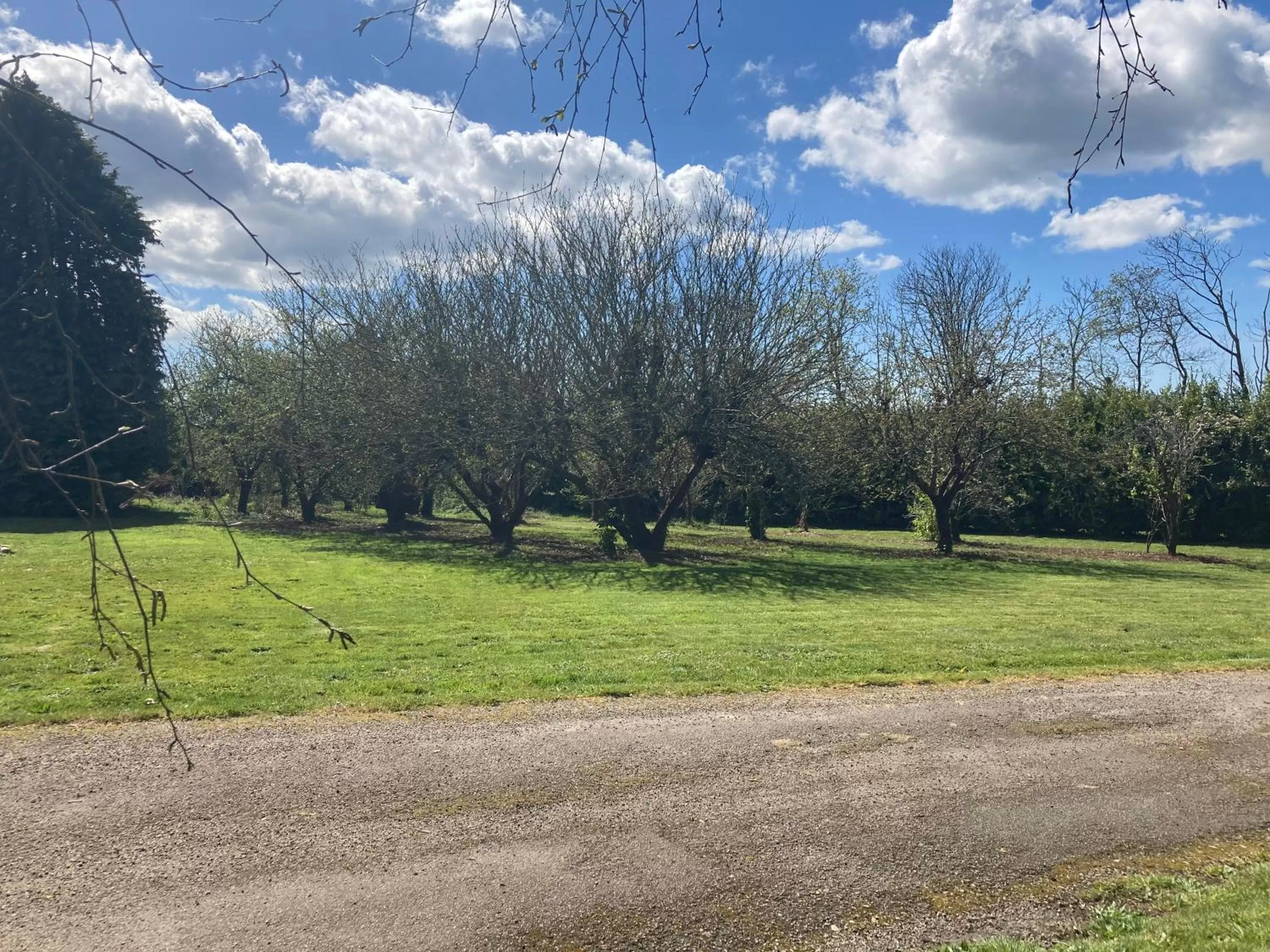 Garden in Chambre privée-Kermoal
