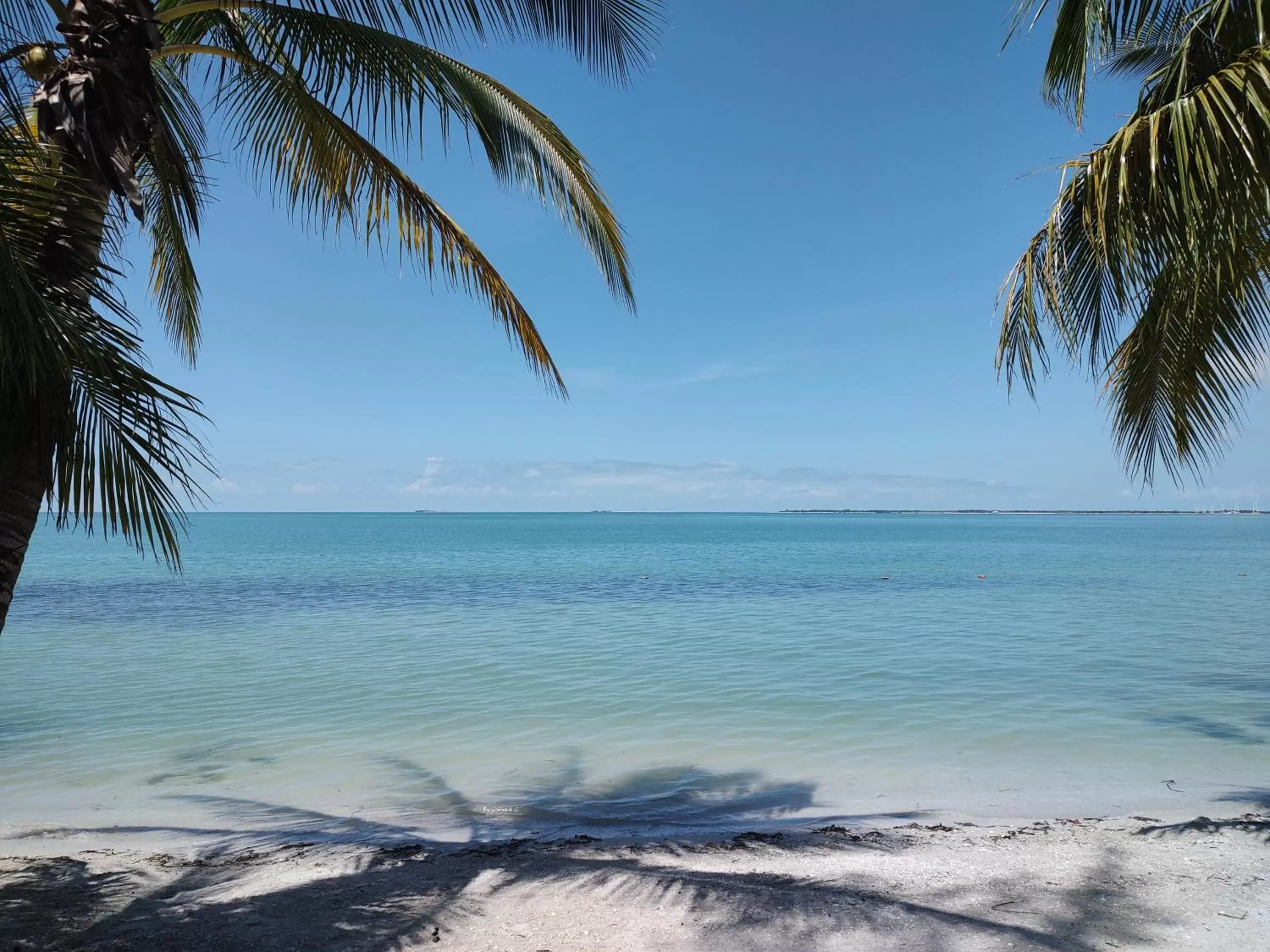 Beach in Freedom Shores "La Gringa" Hotel - Universally Designed