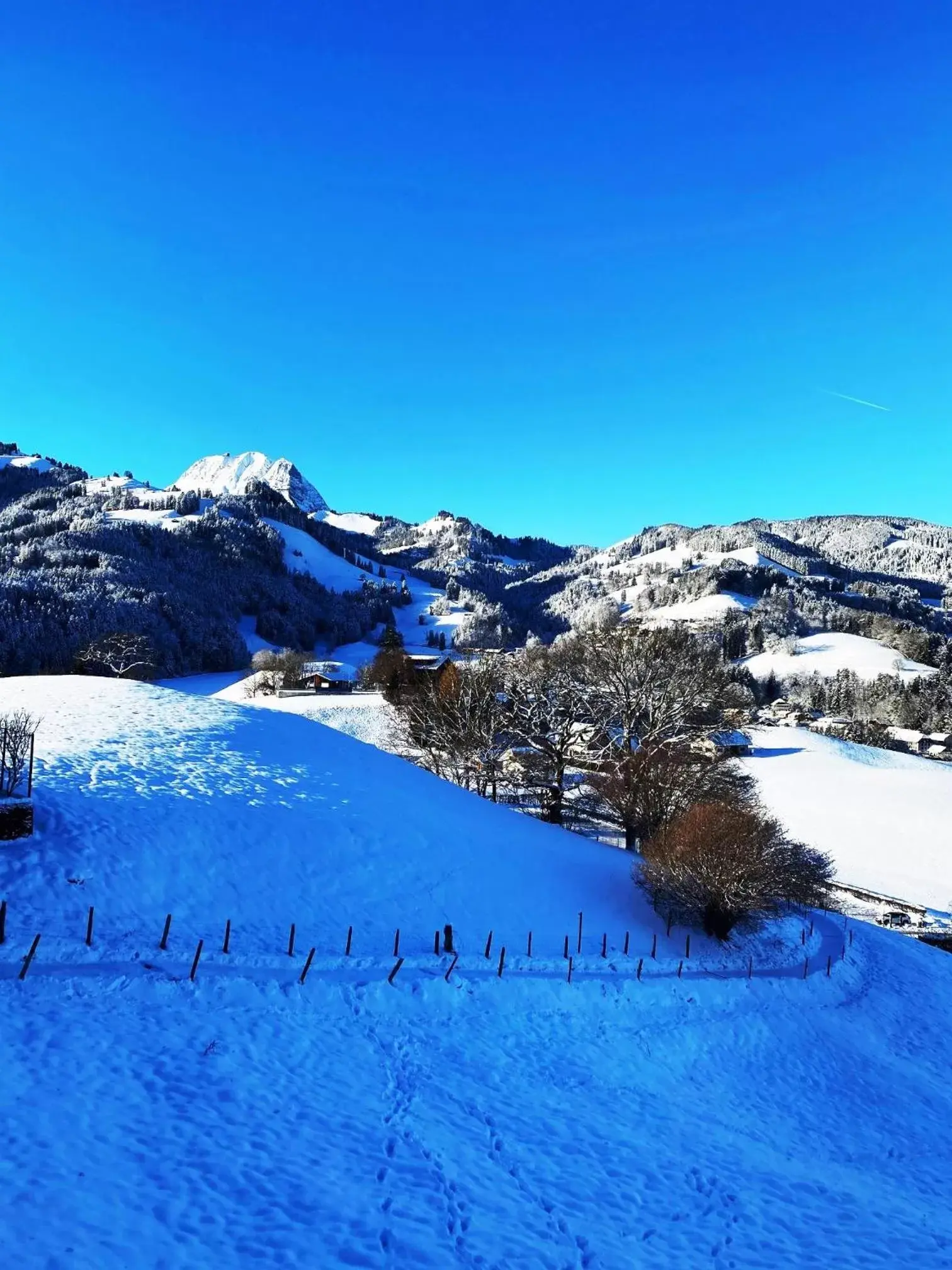 Natural landscape, Winter in Hôtel de Ville