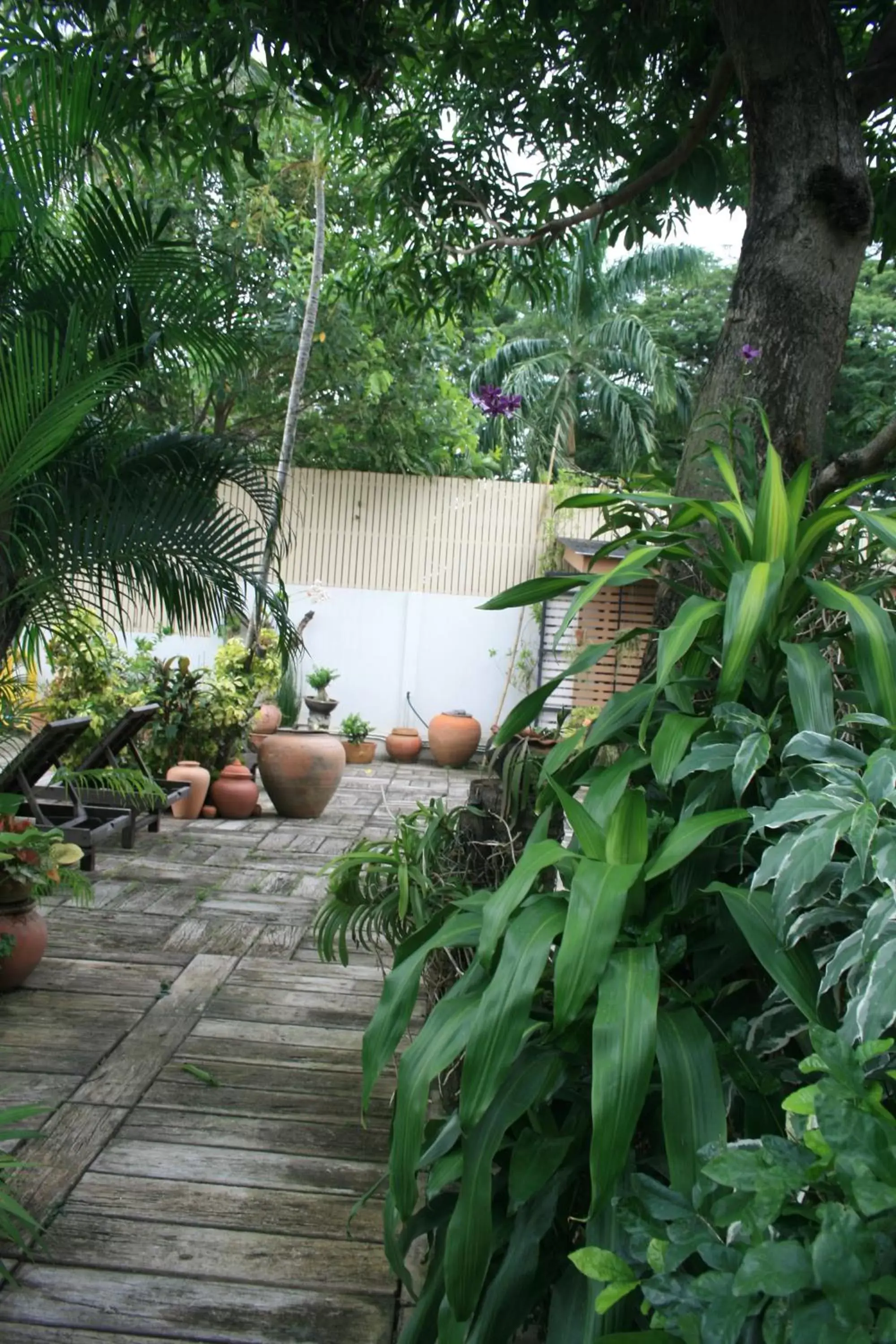 Garden view in Baan Ing Ping