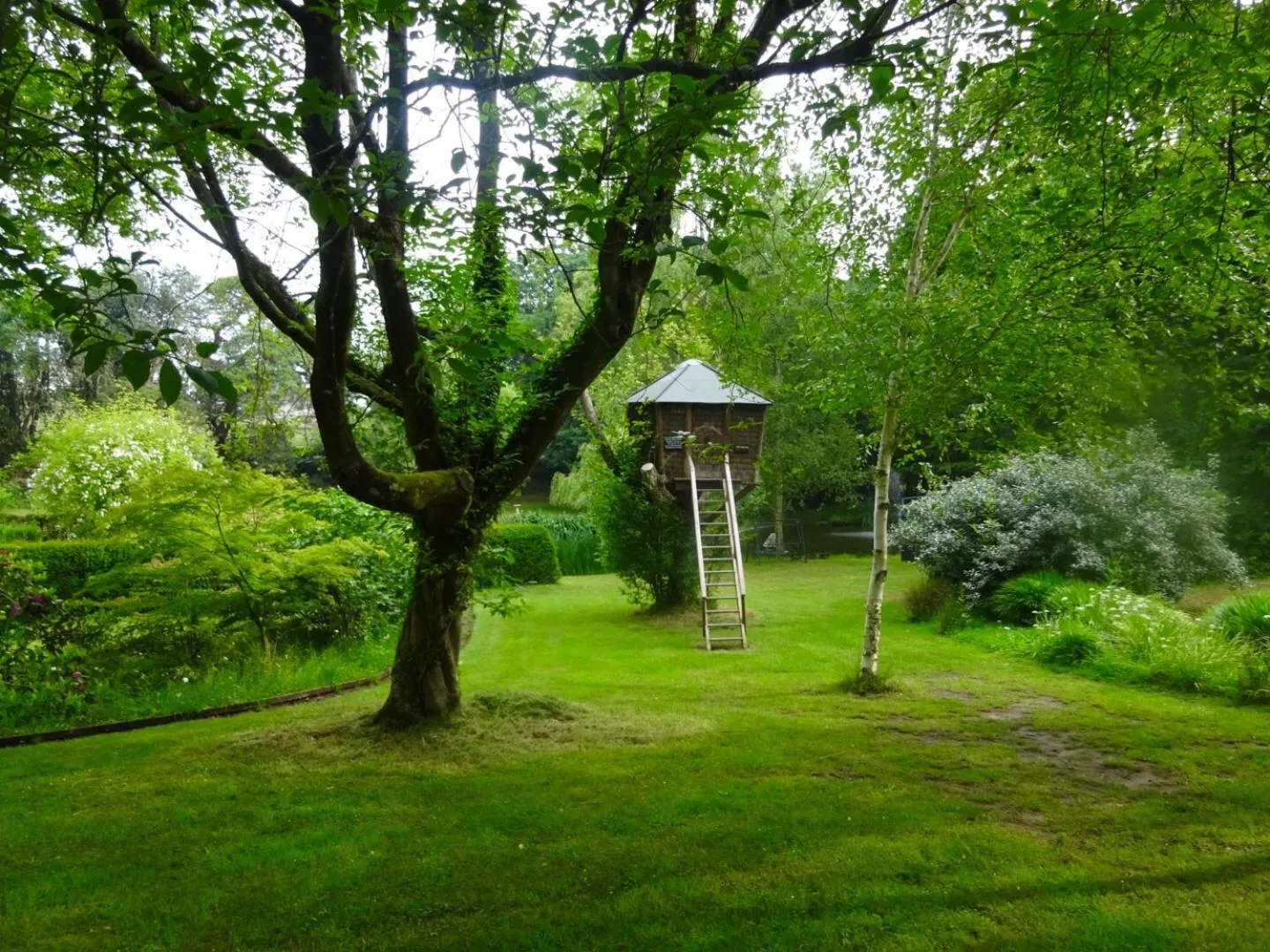 Garden in Passford House Hotel