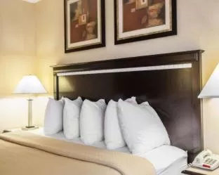 One Room Suite - Non Smoking in Quality Inn Aurora - Naperville Area