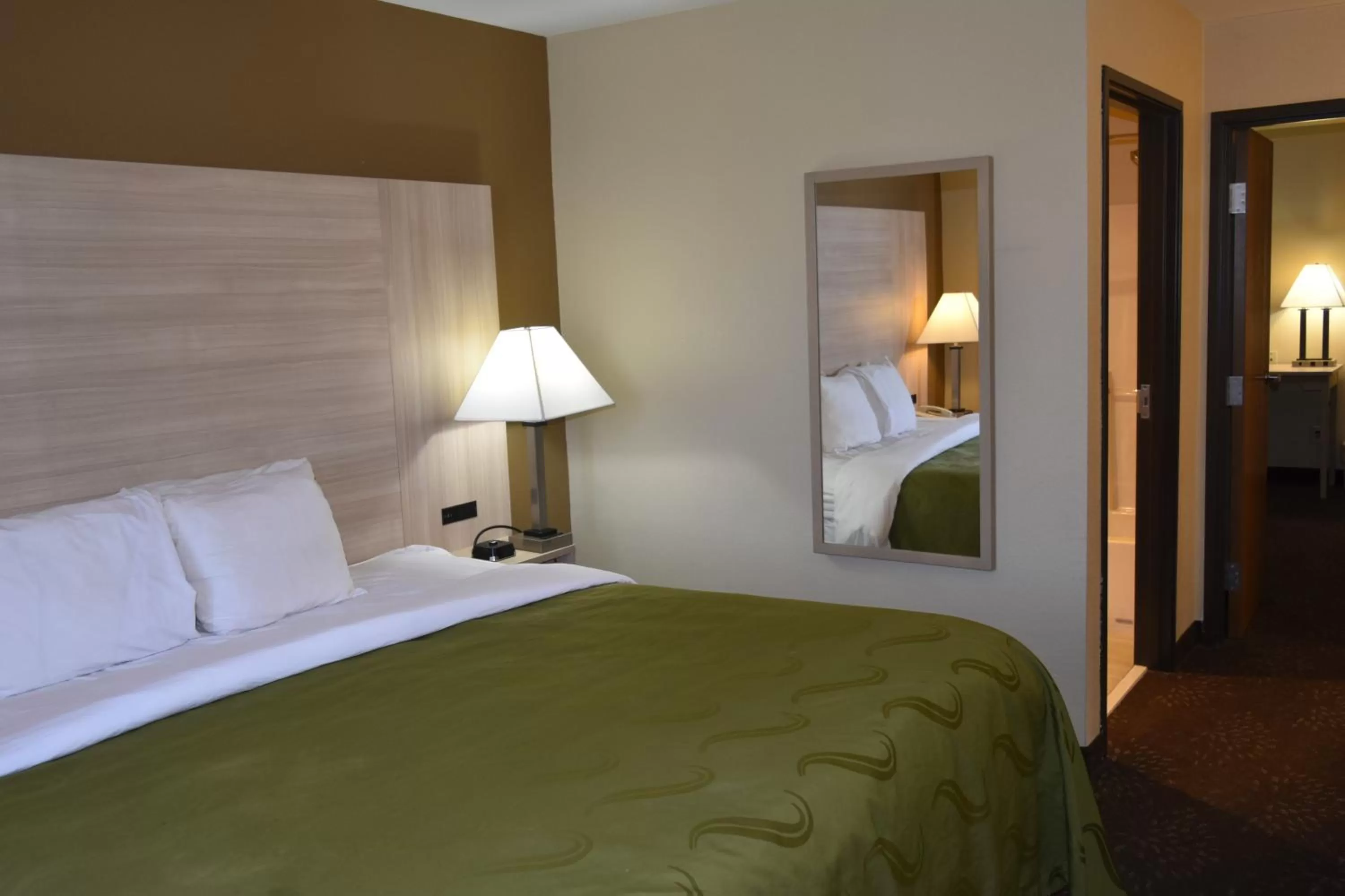 Bed in Quality Inn & Suites Brooks Louisville South