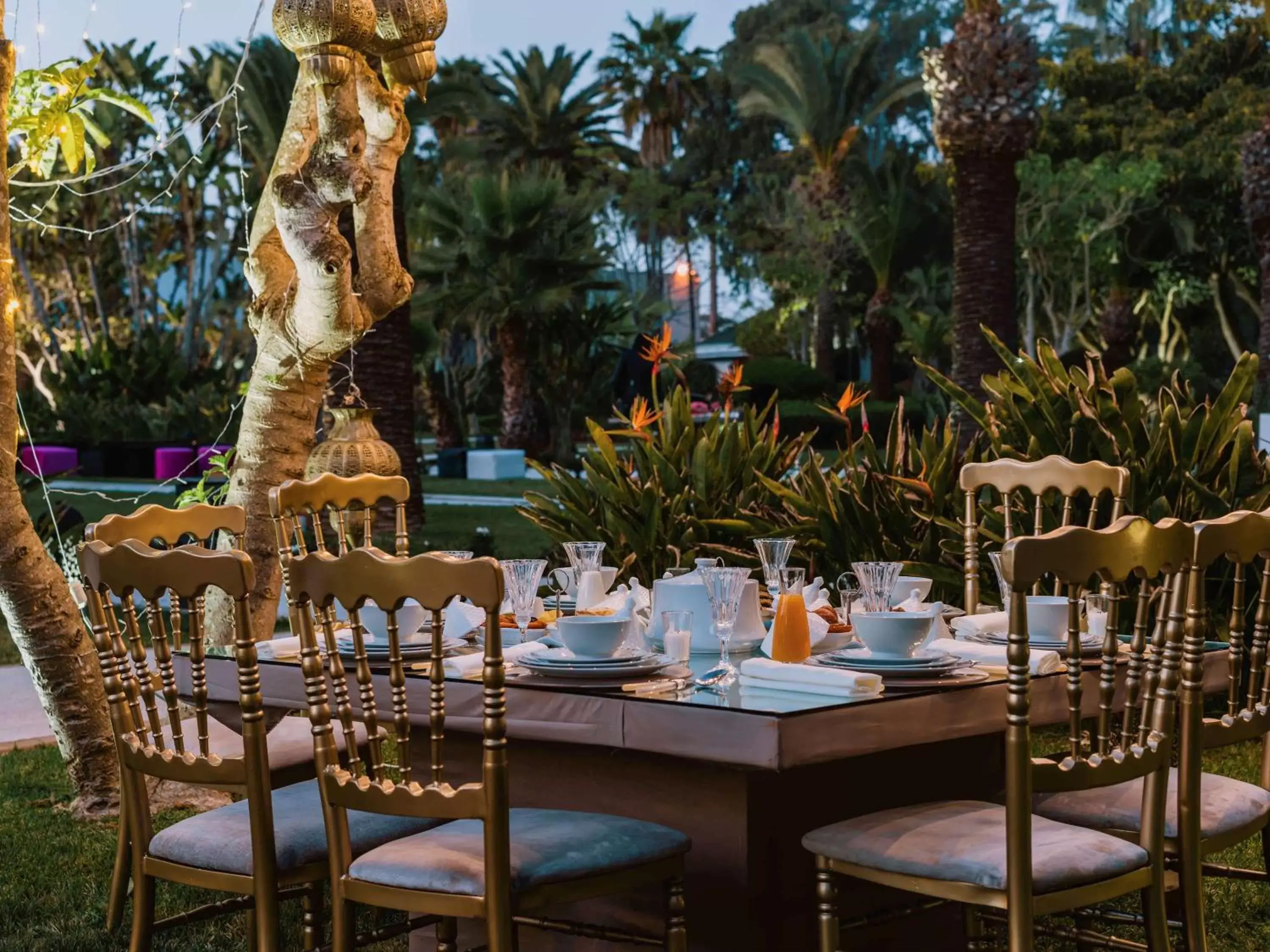 On site, Restaurant/Places to Eat in Sofitel Rabat Jardin Des Roses