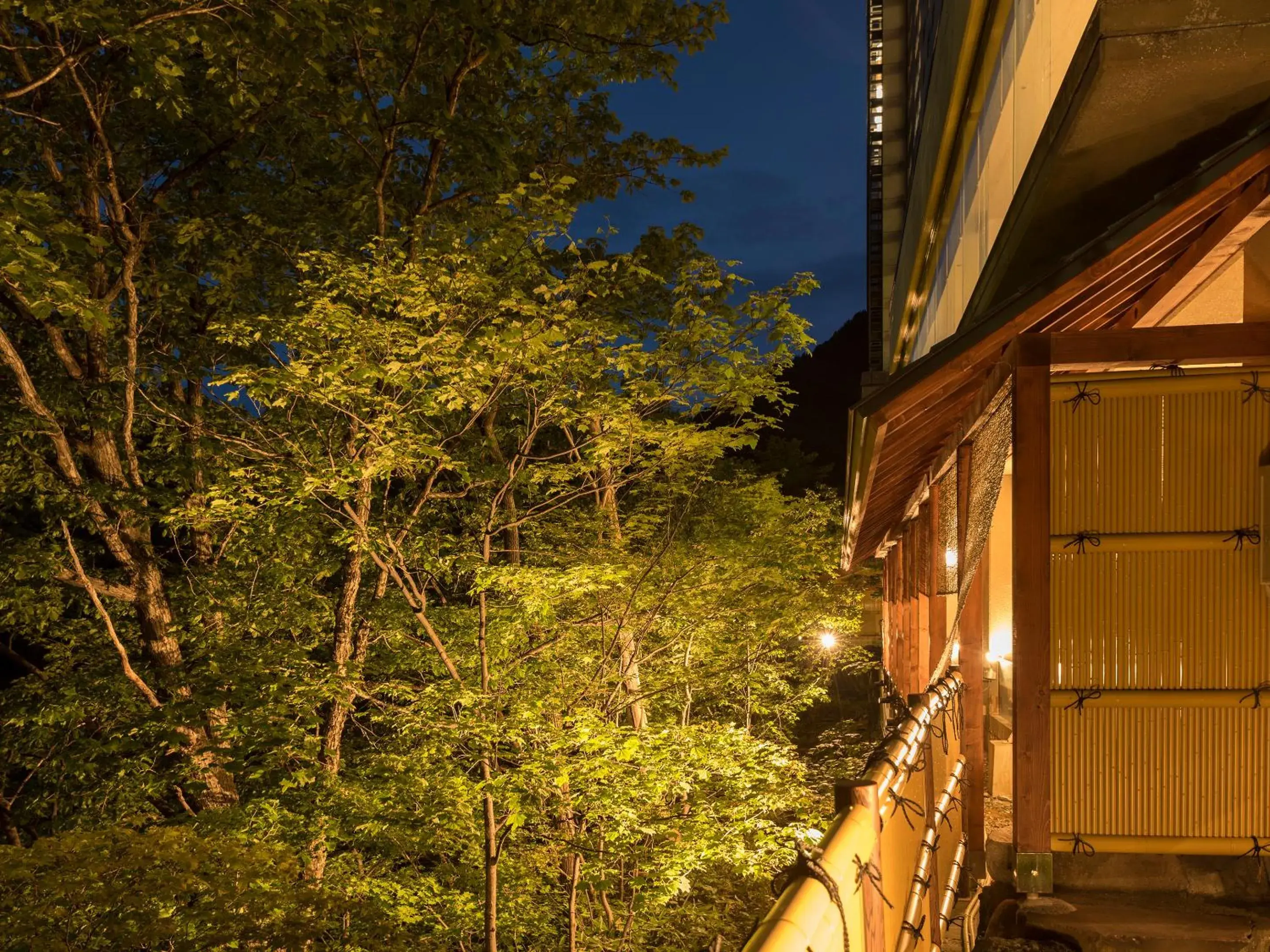 Hot Spring Bath in Jozankei View Hotel