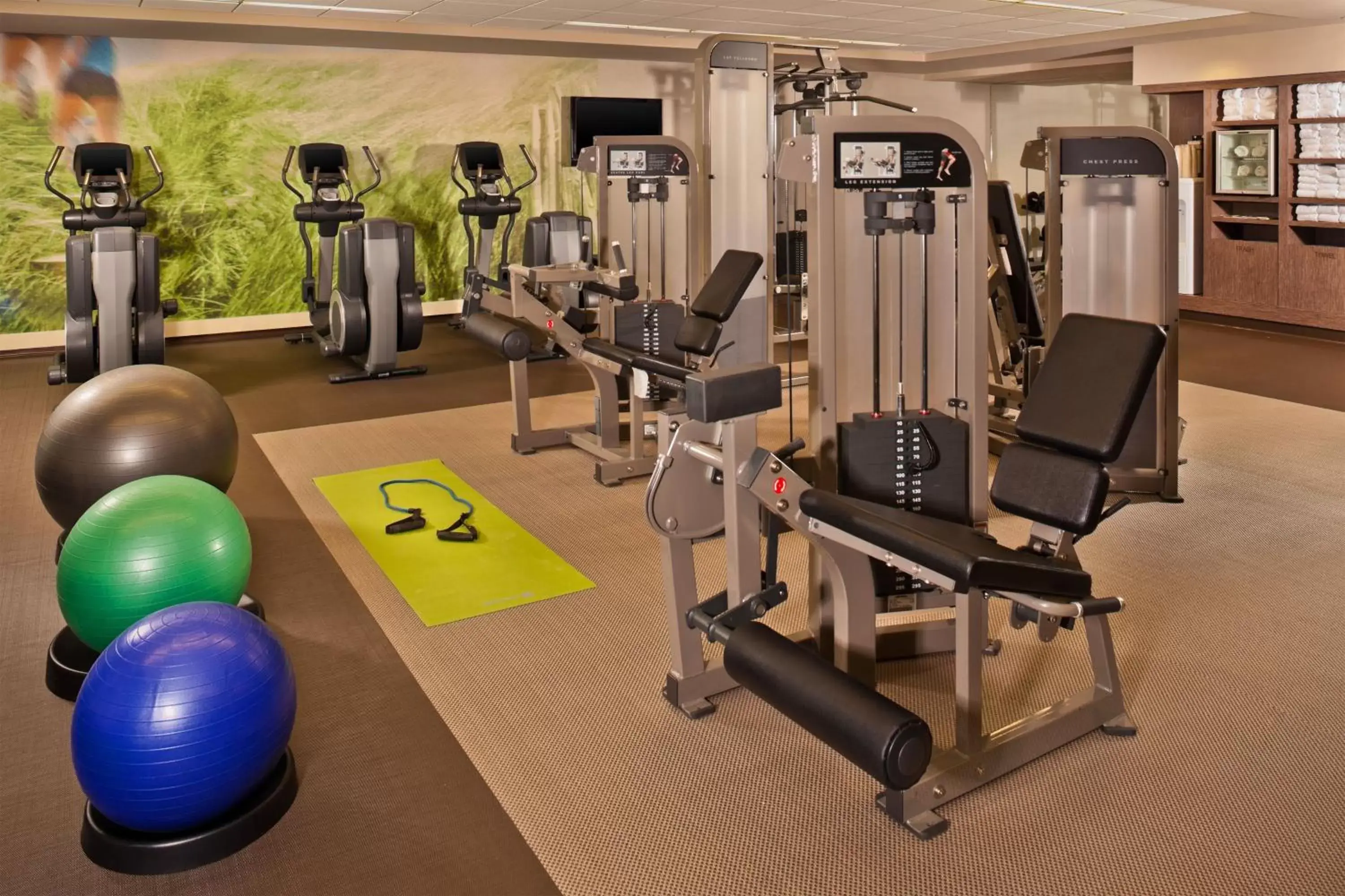 Fitness centre/facilities, Fitness Center/Facilities in The Westin Book Cadillac Detroit