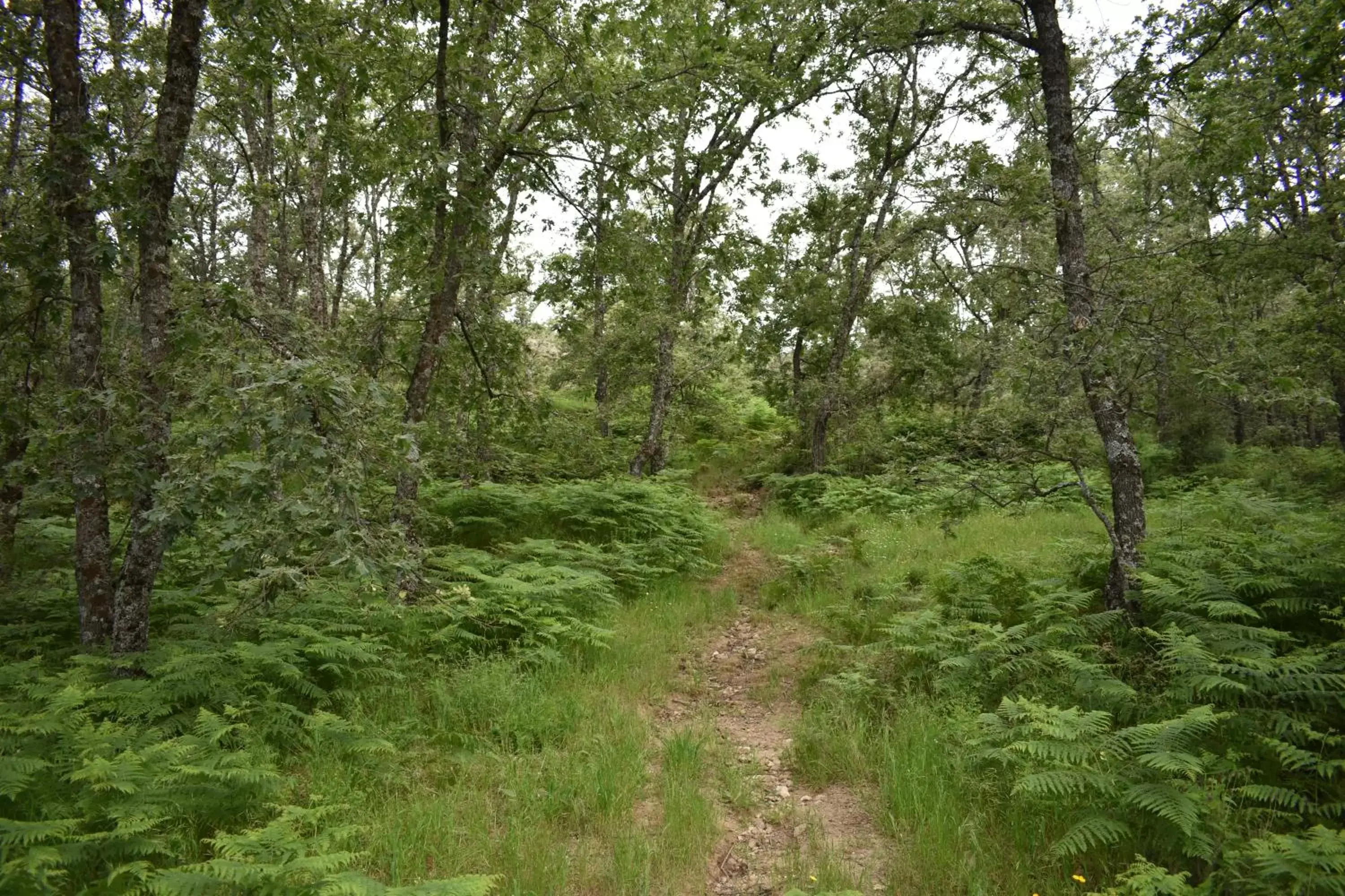 Hiking in Hotel Rural San Giles