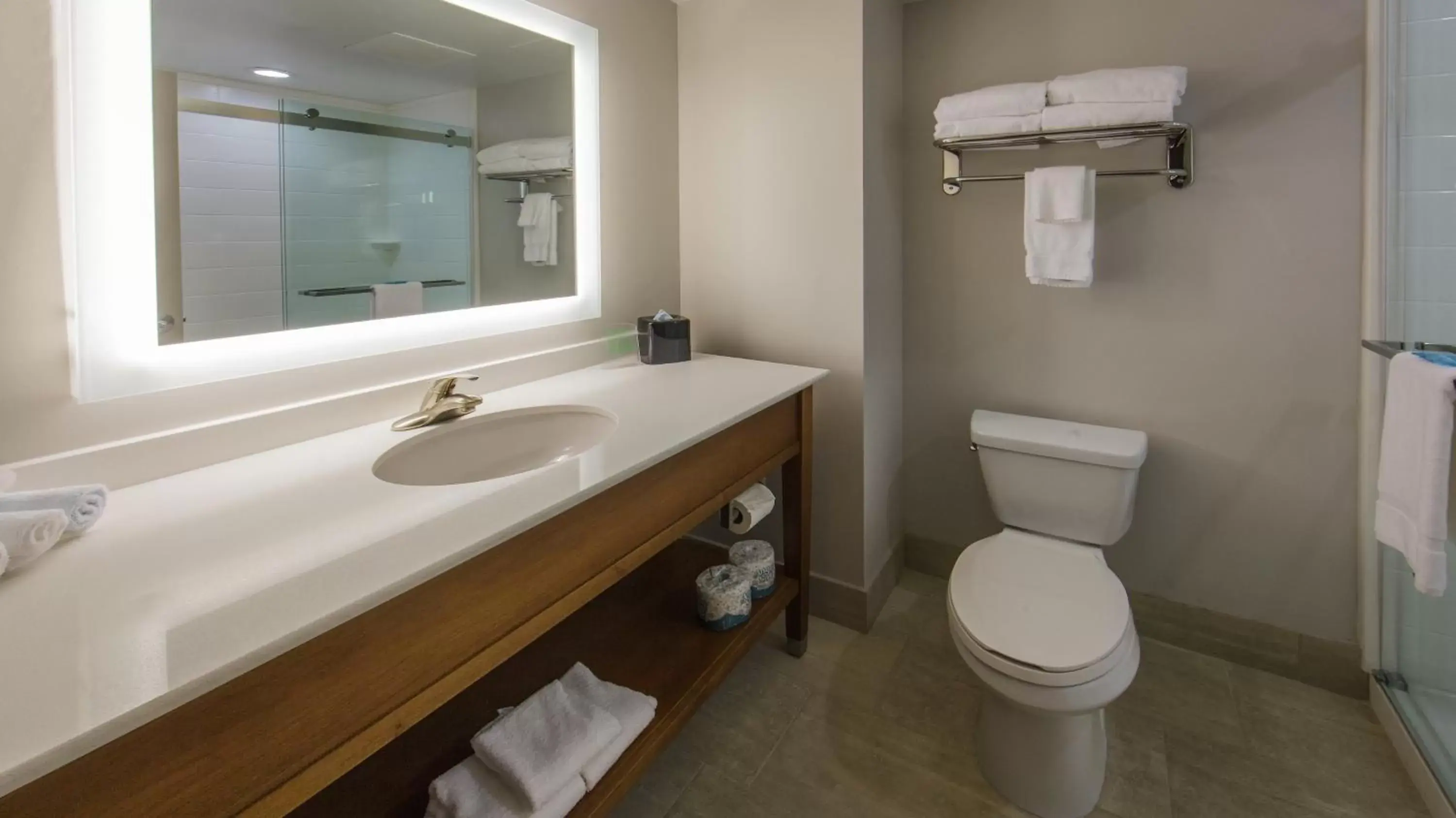 Photo of the whole room, Bathroom in Holiday Inn Express Gatlinburg Downtown, an IHG Hotel