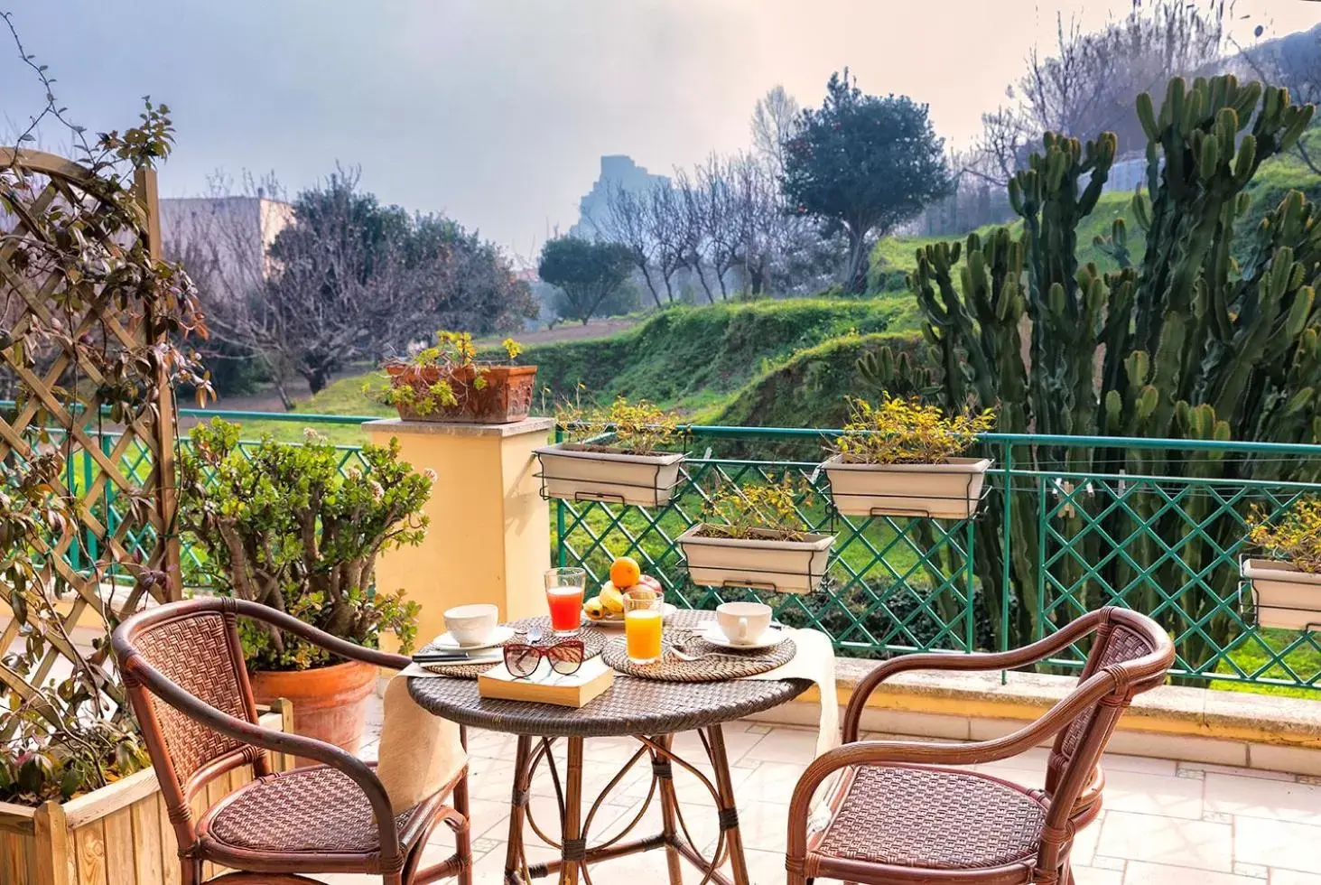 Balcony/Terrace in B&B Marcantonio - Ischia Ponte