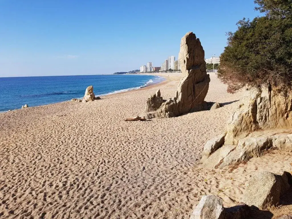 Beach in Cosmopolita Hotel-Boutique