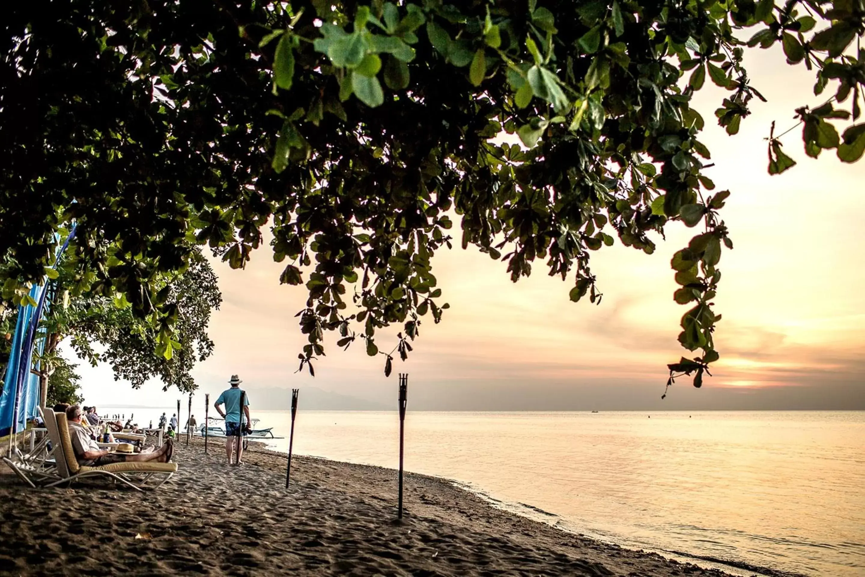 Beach, Natural Landscape in The Lovina