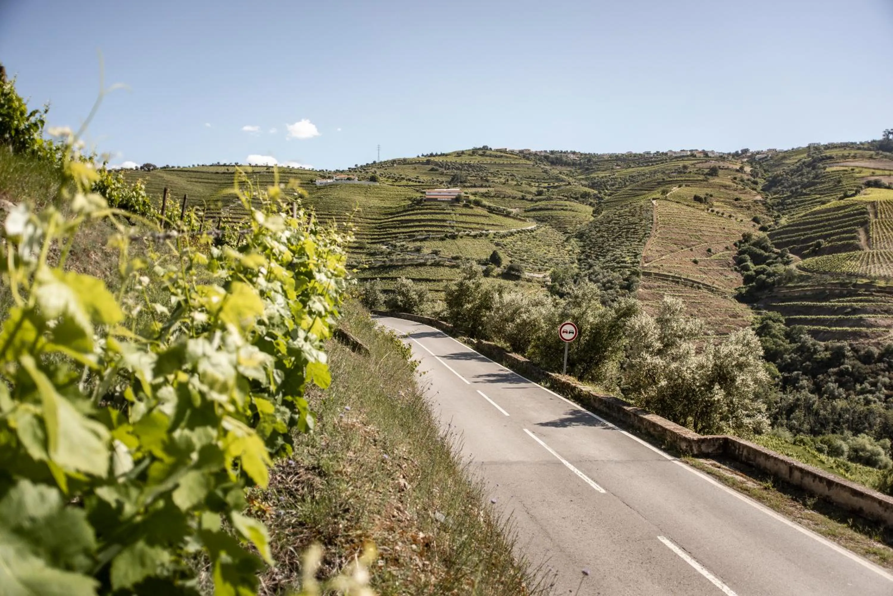 Natural landscape in Original Douro Hotel