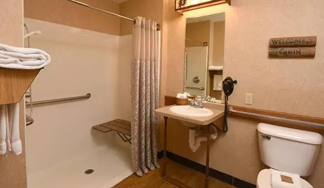 Bathroom in Boarders Inn & Suites by Cobblestone Hotels in Waukon