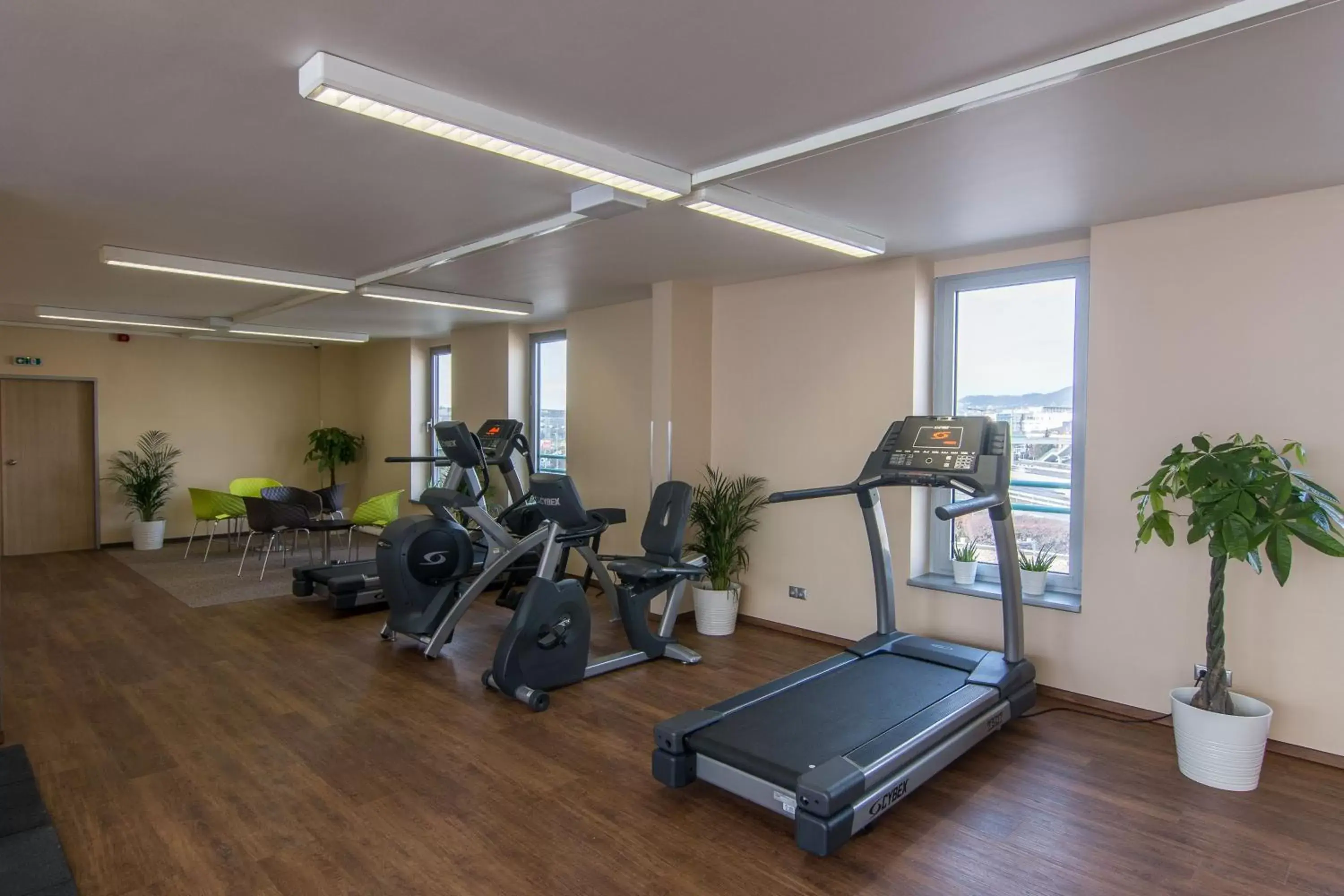 Fitness centre/facilities, Fitness Center/Facilities in Holiday Inn Budapest-Budaörs, an IHG Hotel