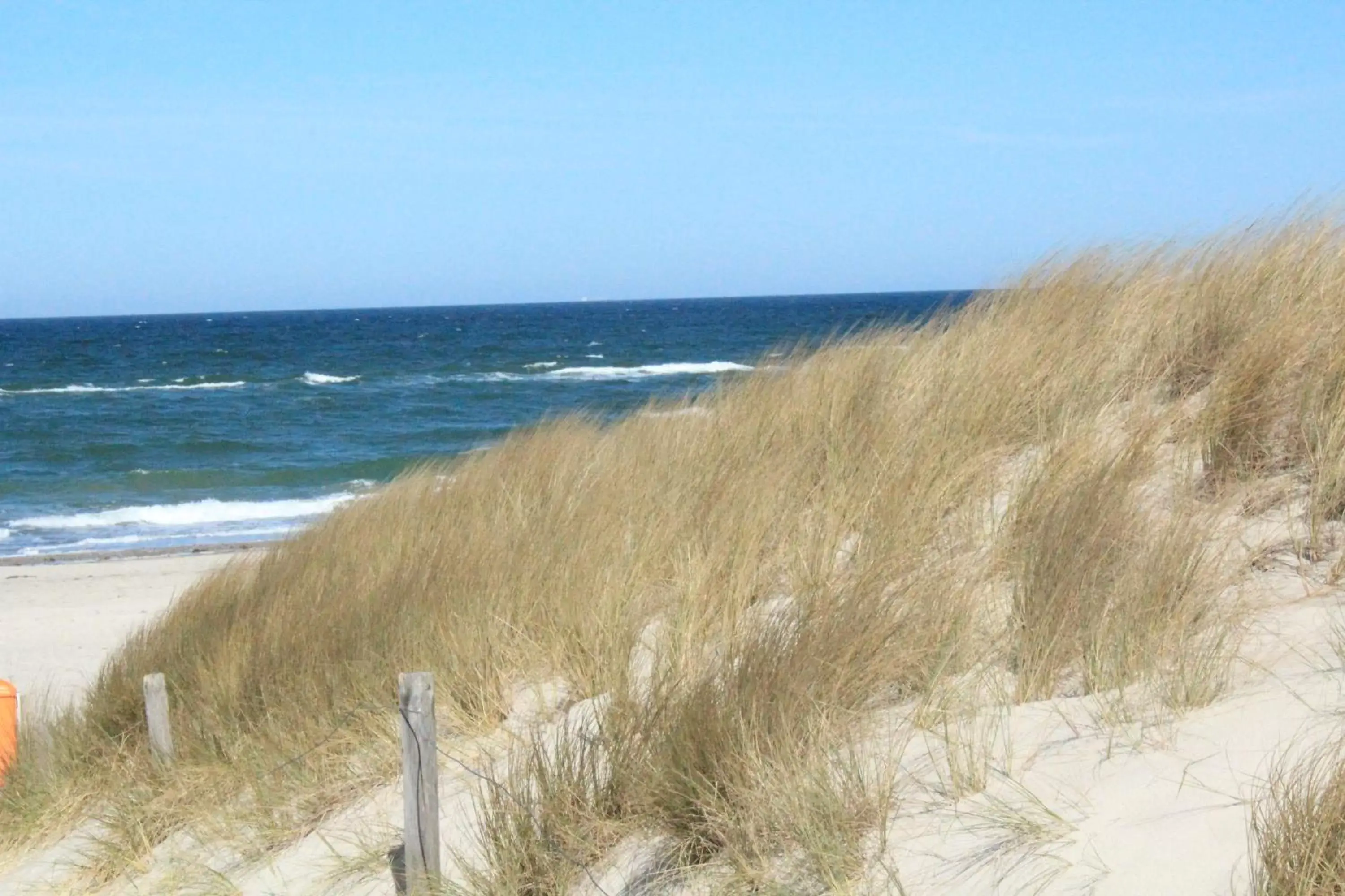 Day, Beach in Ostseehotel Dierhagen