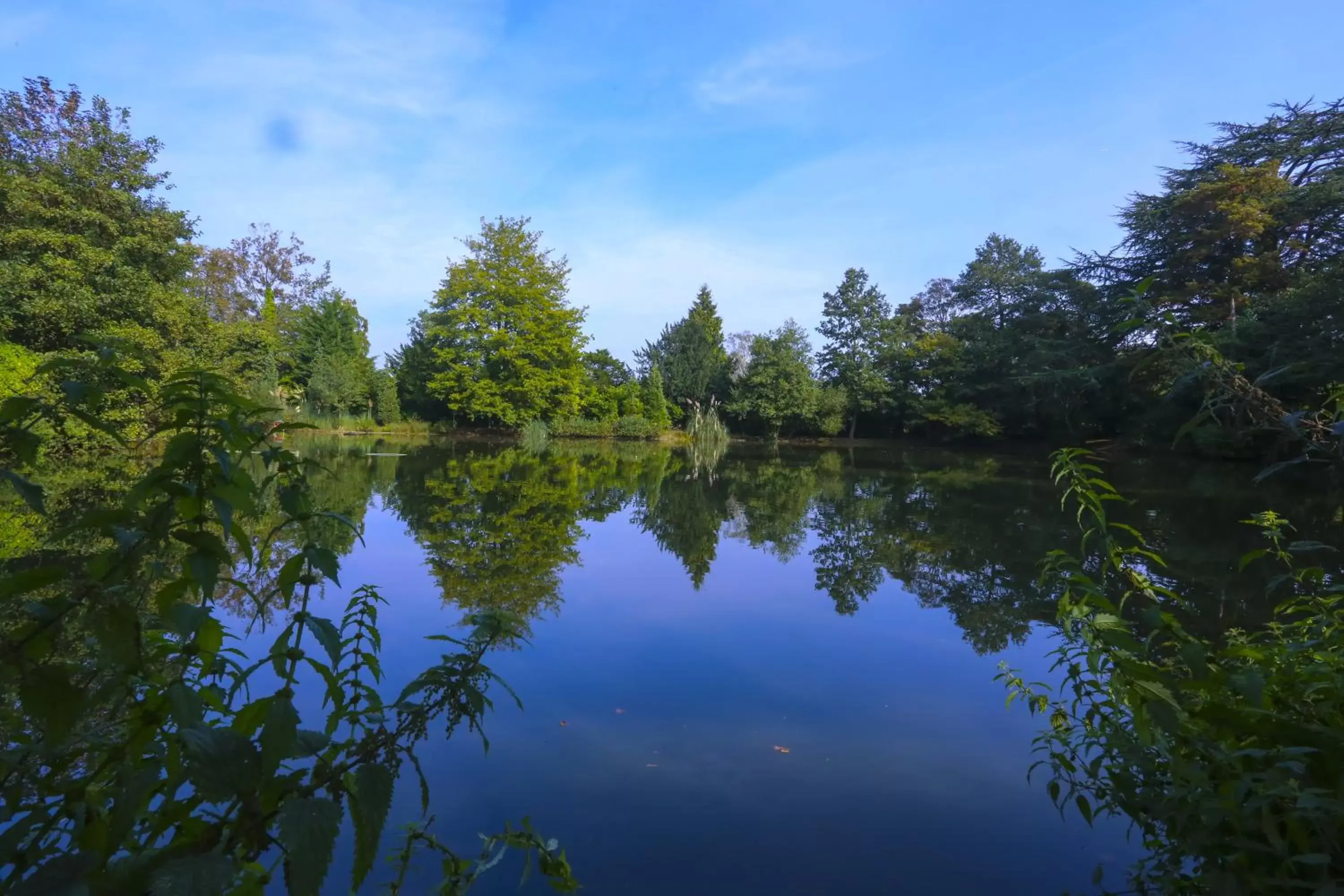 On site, Lake View in Worplesdon Place Hotel