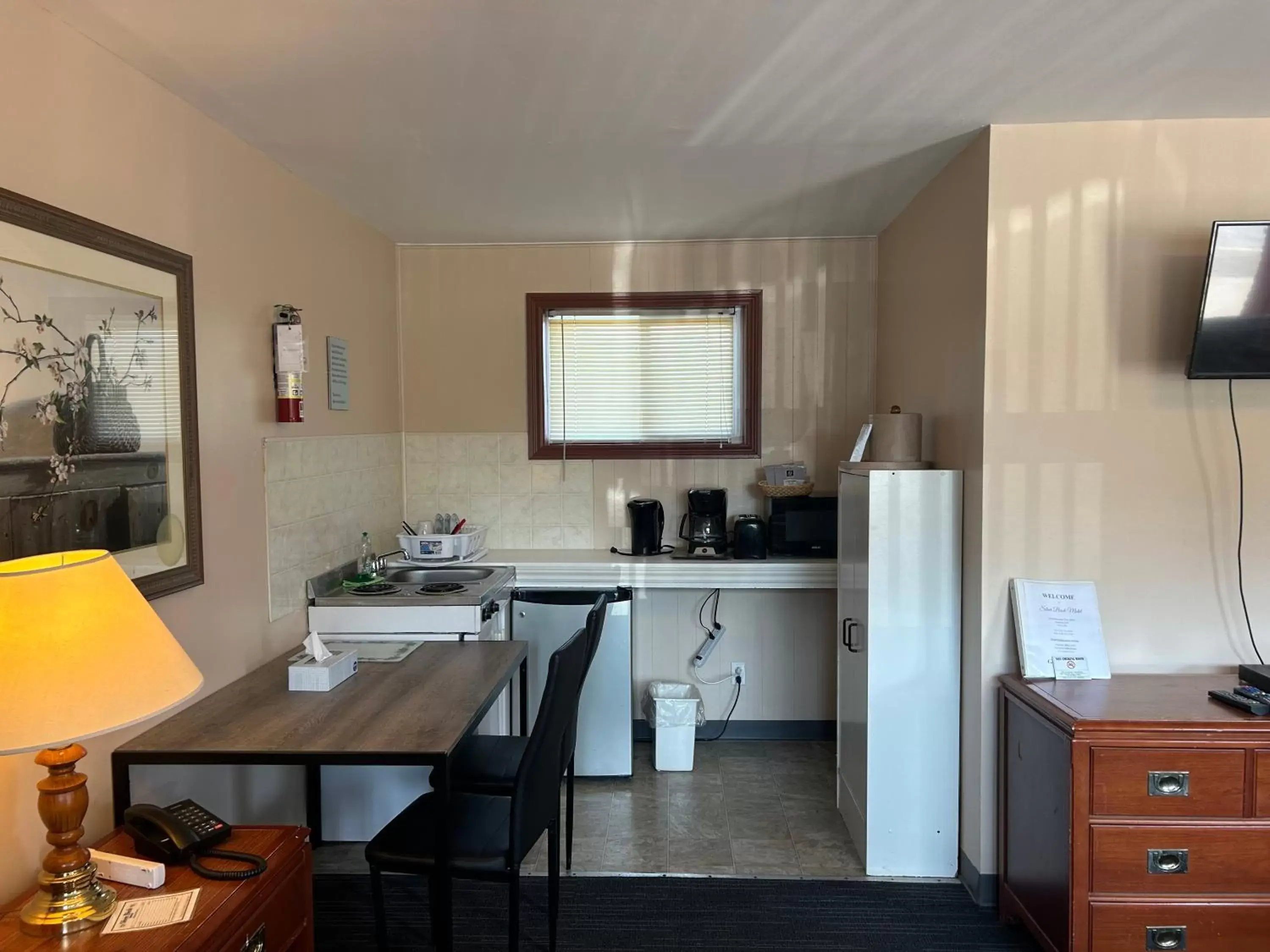 Kitchen/Kitchenette in The Silver Birch Motel