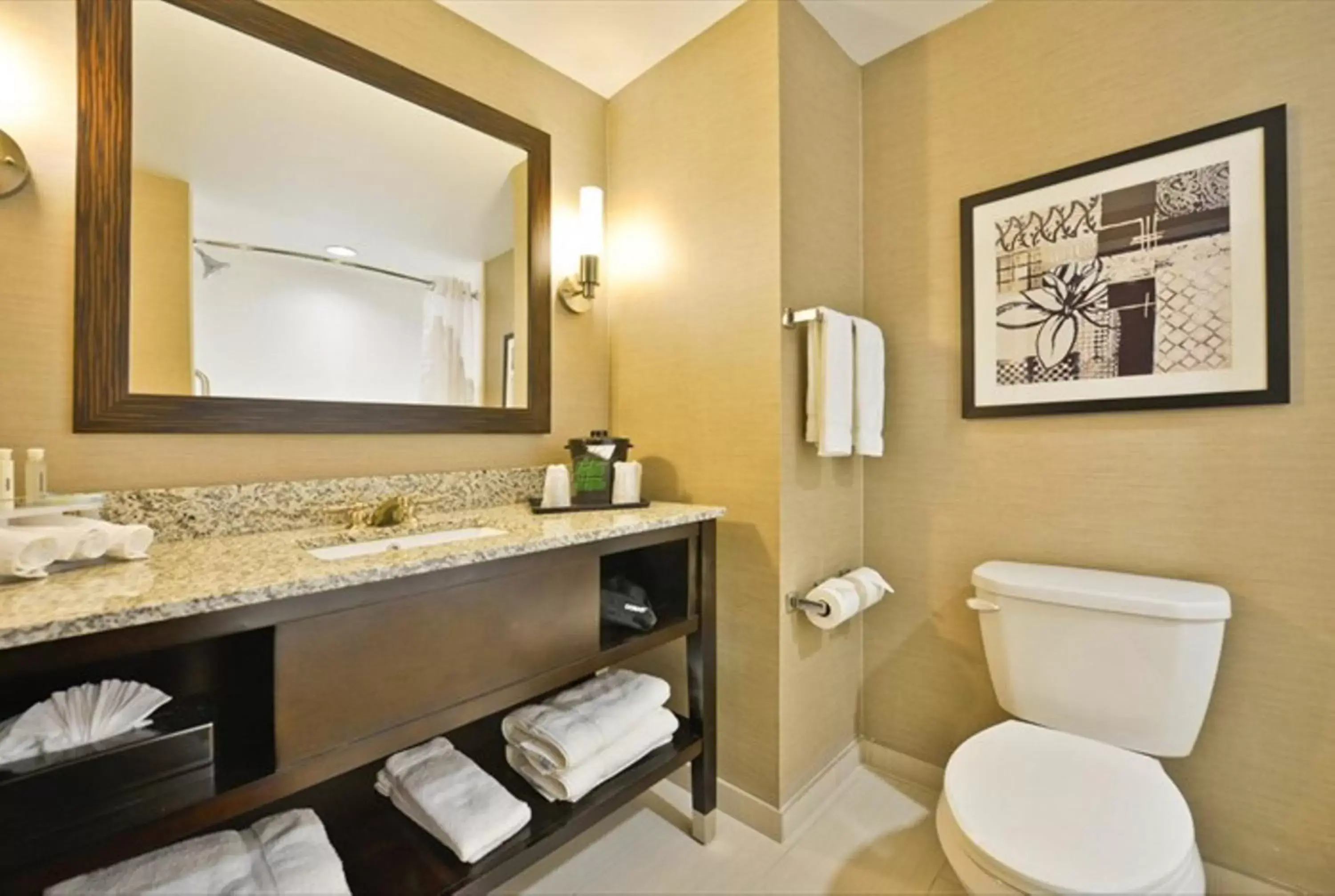 Bathroom in Holiday Inn Express & Suites Utica, an IHG Hotel