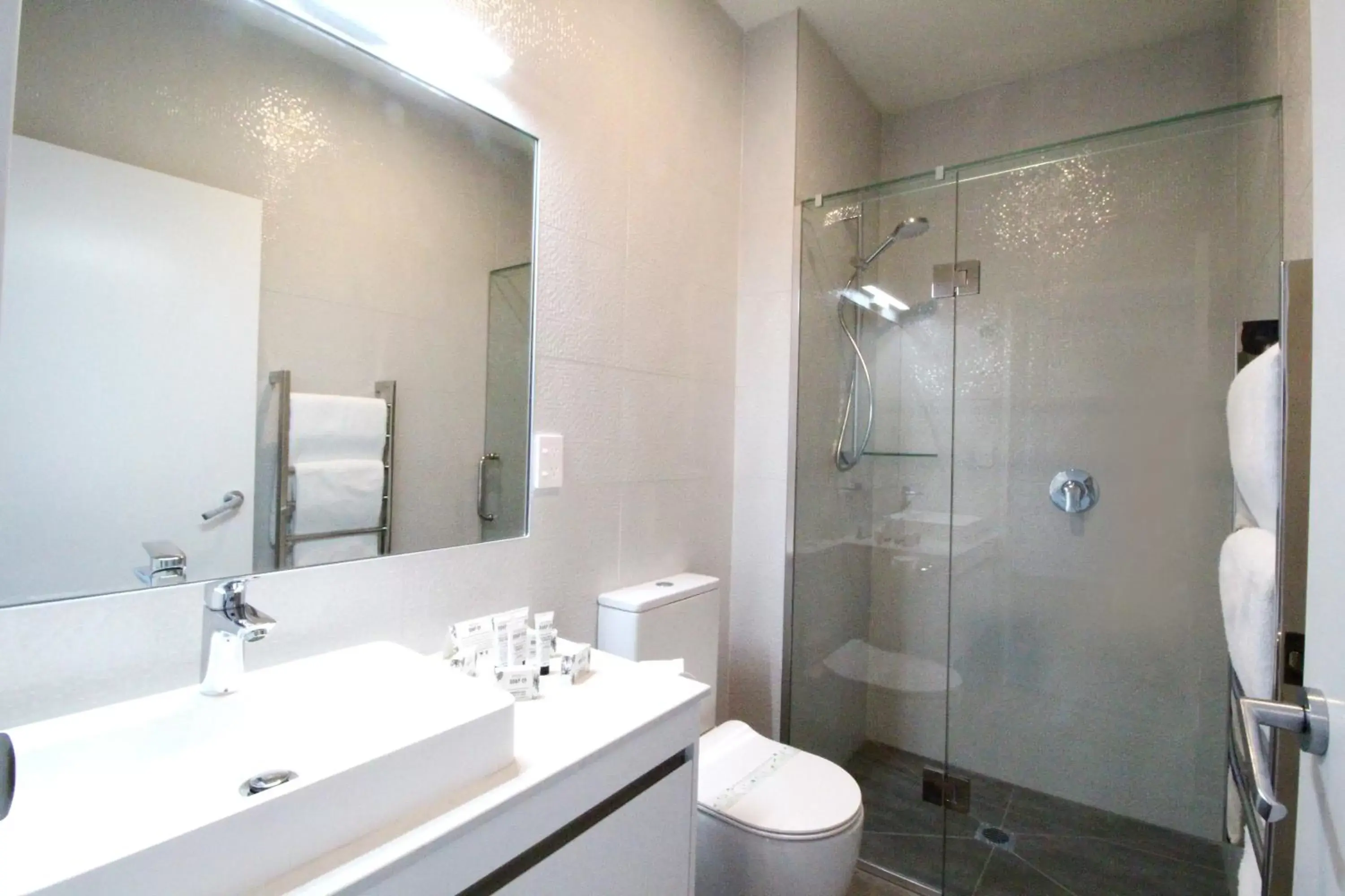 Shower, Bathroom in FERNZ Motel & Apartments Birkenhead