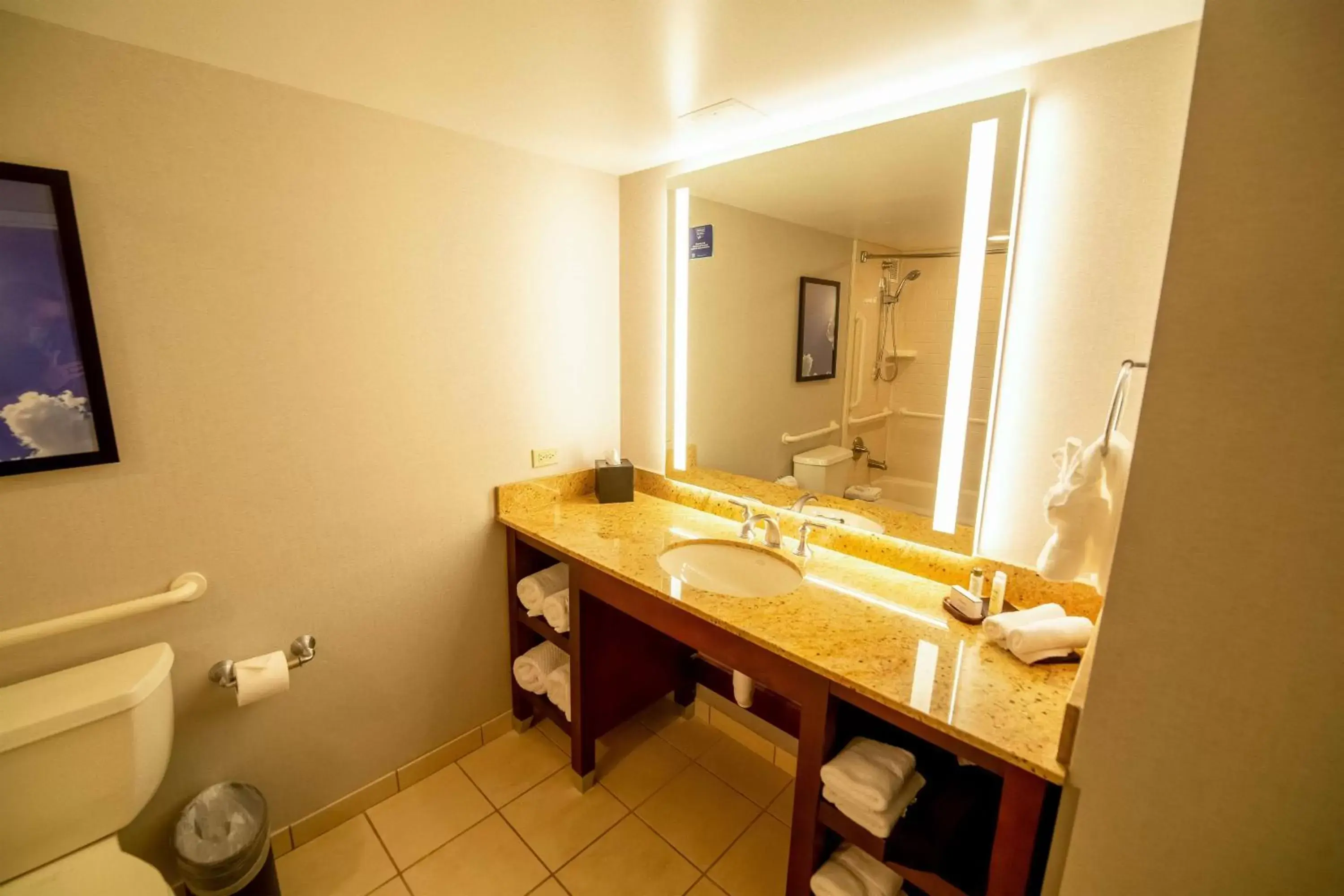 Bathroom in Embassy Suites by Hilton Kansas City Overland Park