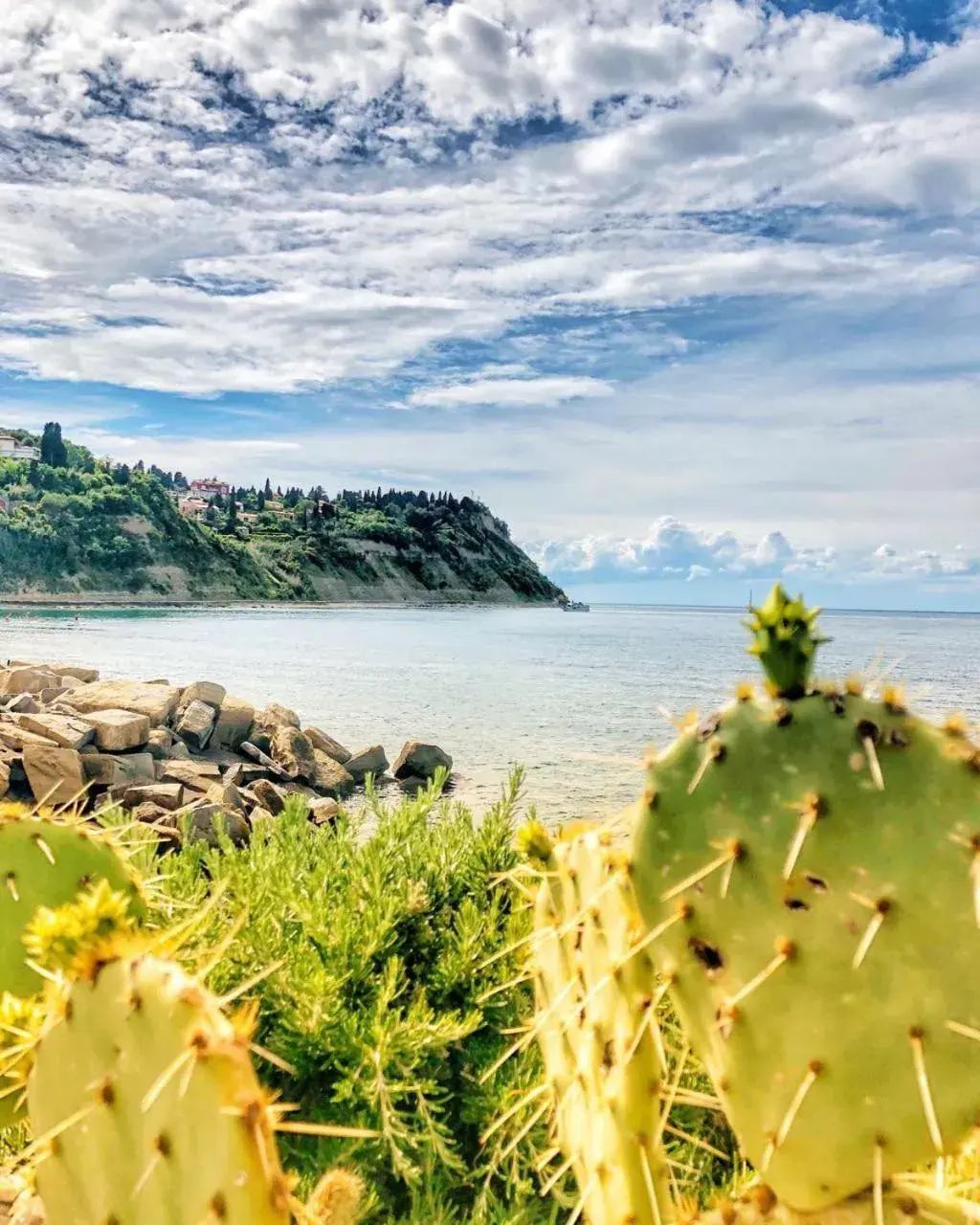 Nearby landmark in Barbara Piran Beach Hotel