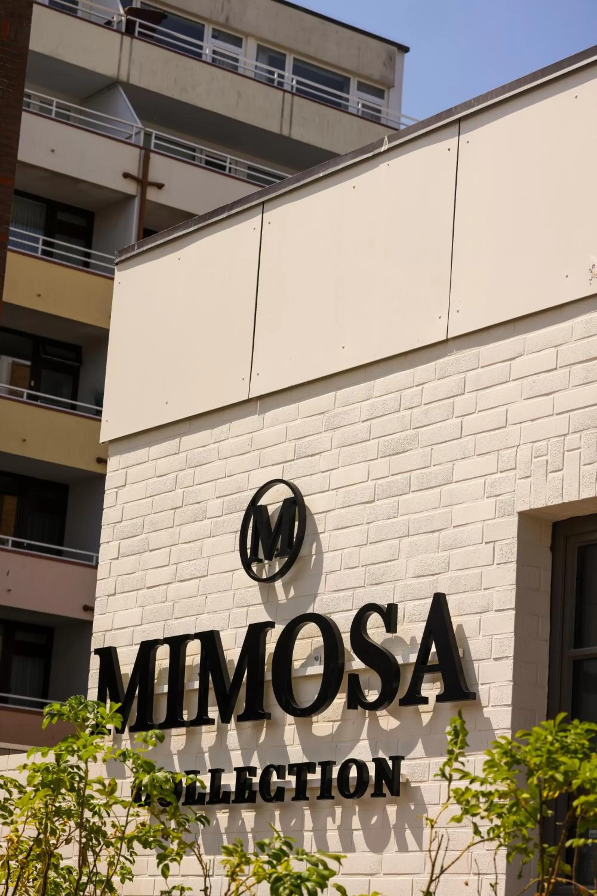 Facade/entrance in Mimosa Hotel