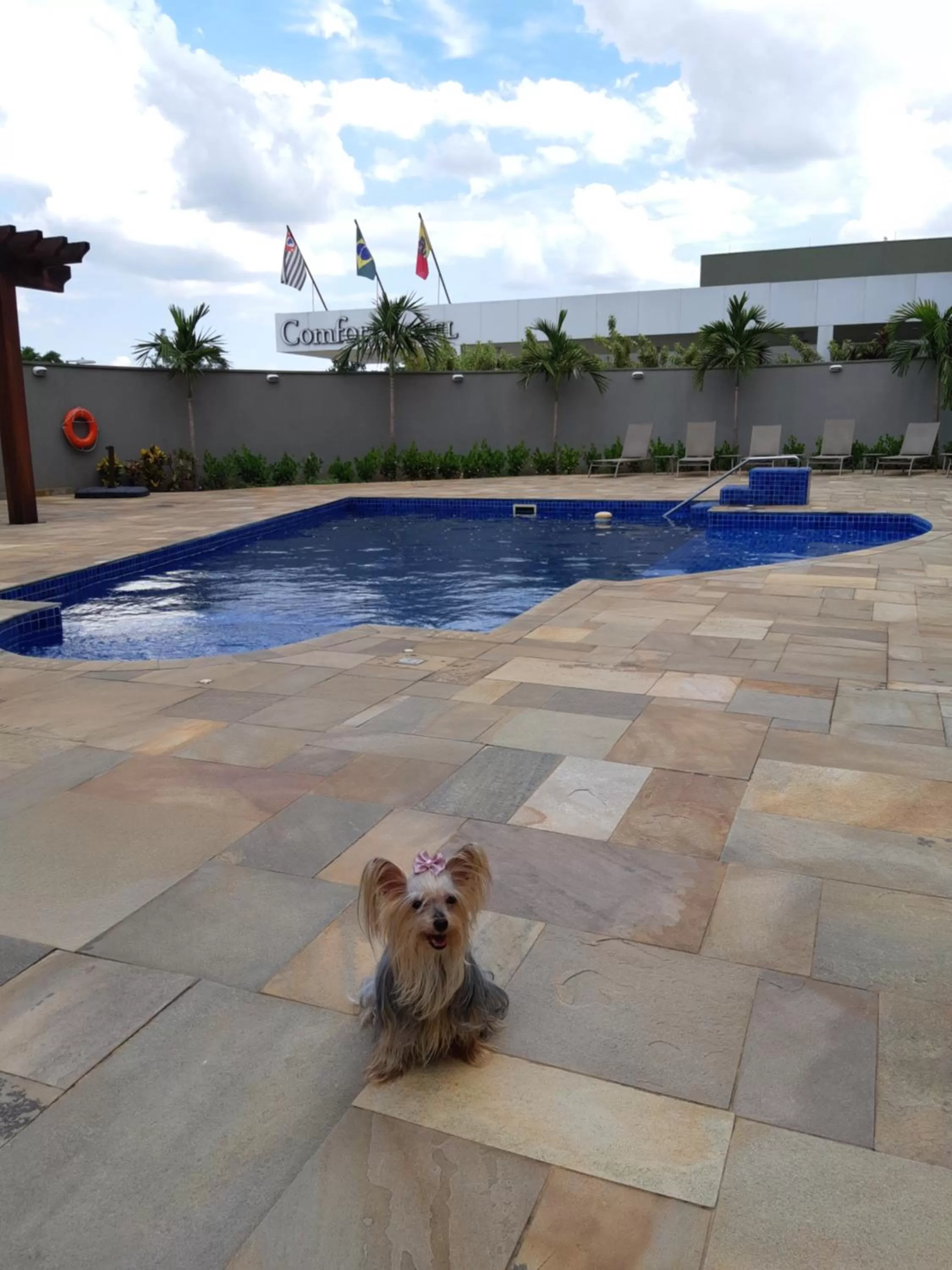 Swimming pool in Comfort Mogi Guaçu