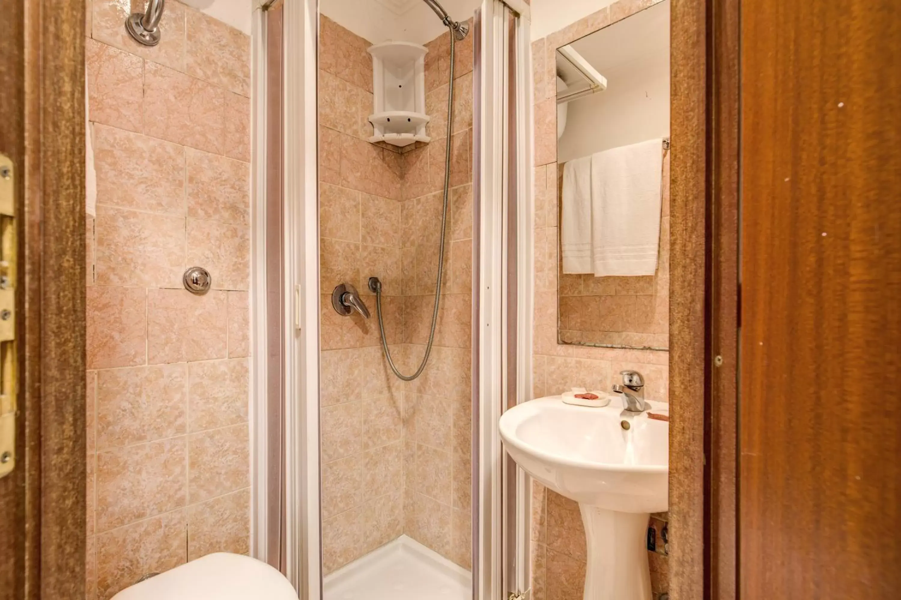 Shower, Bathroom in Hotel Virginia