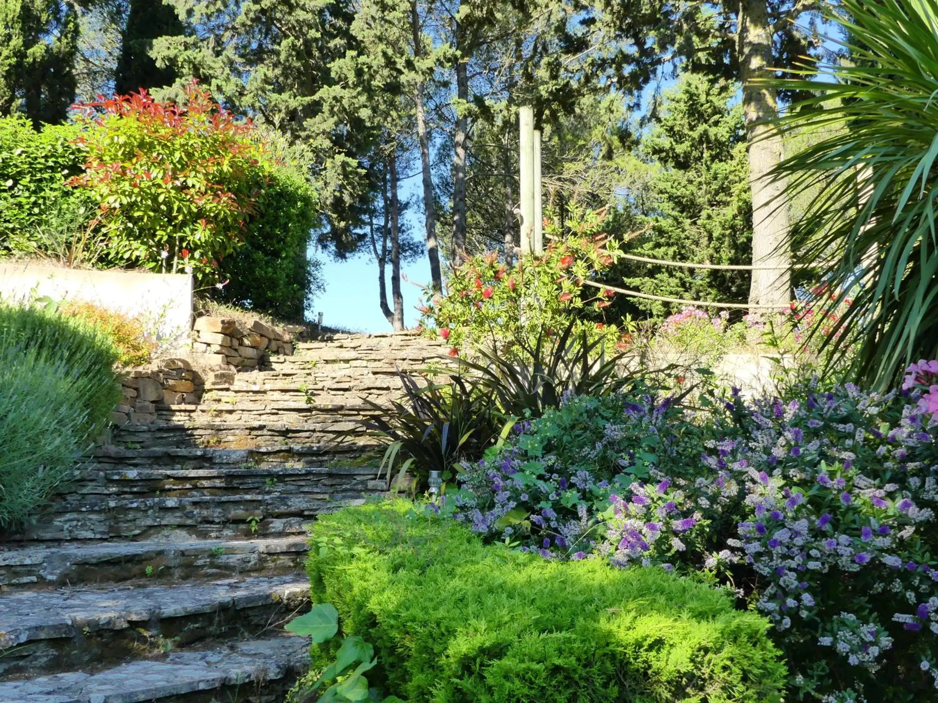 Garden in Hotel Pont Levis - Franck Putelat