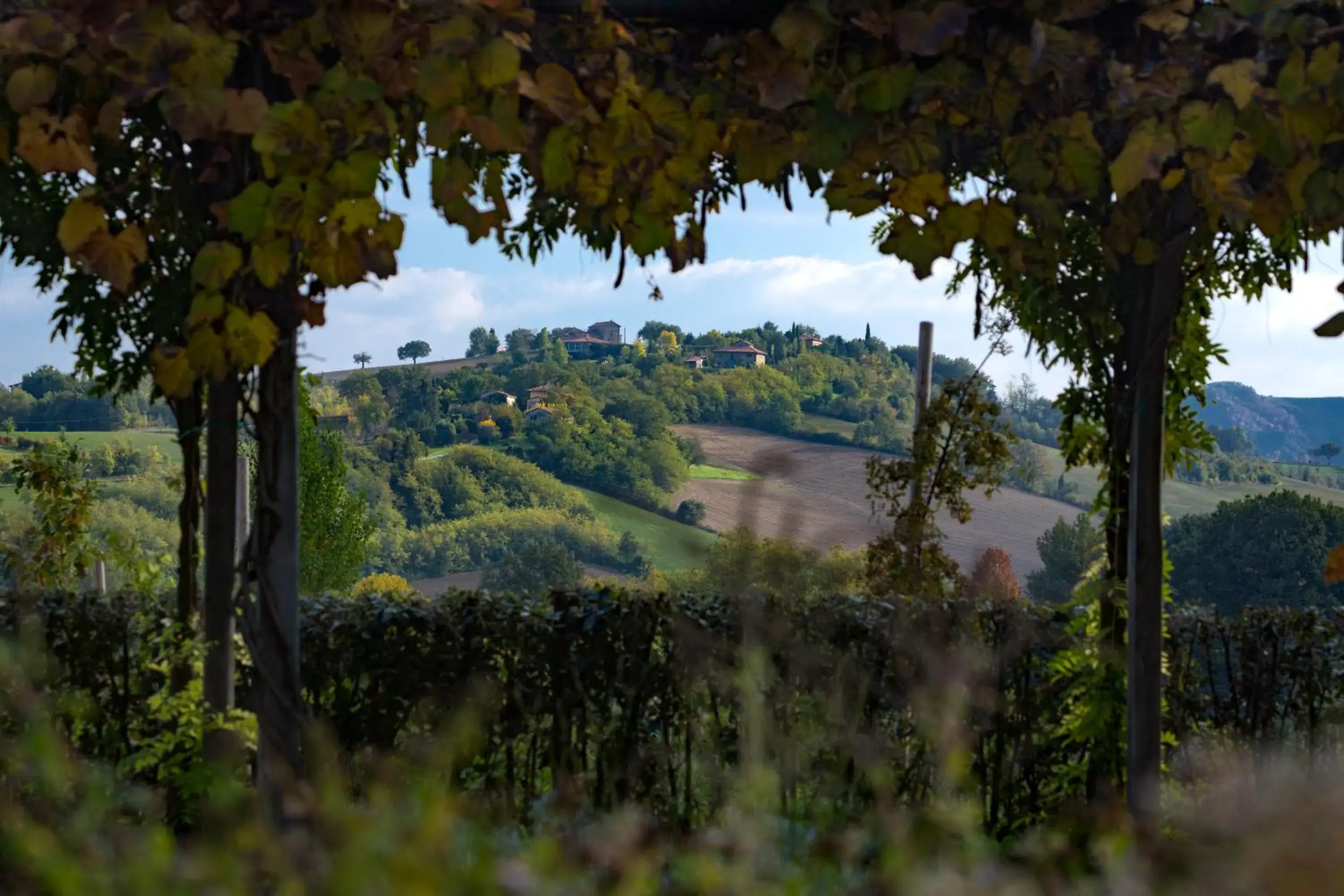 Garden view in Palazzo di Varignana