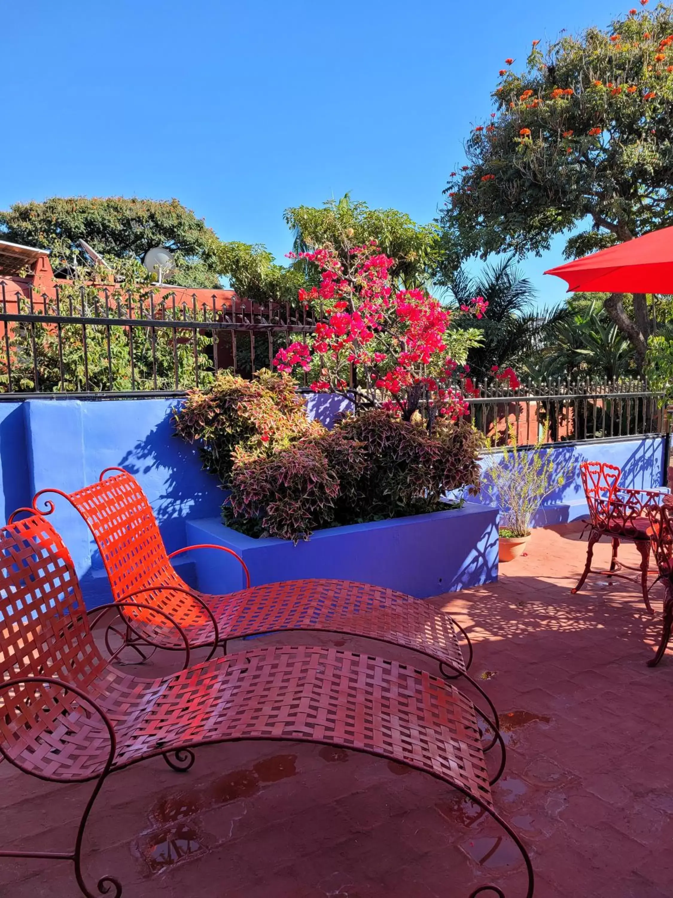 Day, Swimming Pool in Estrellita's Bed & Breakfast