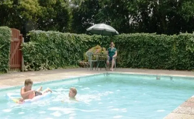 Day, Swimming Pool in Glow Worm Motel