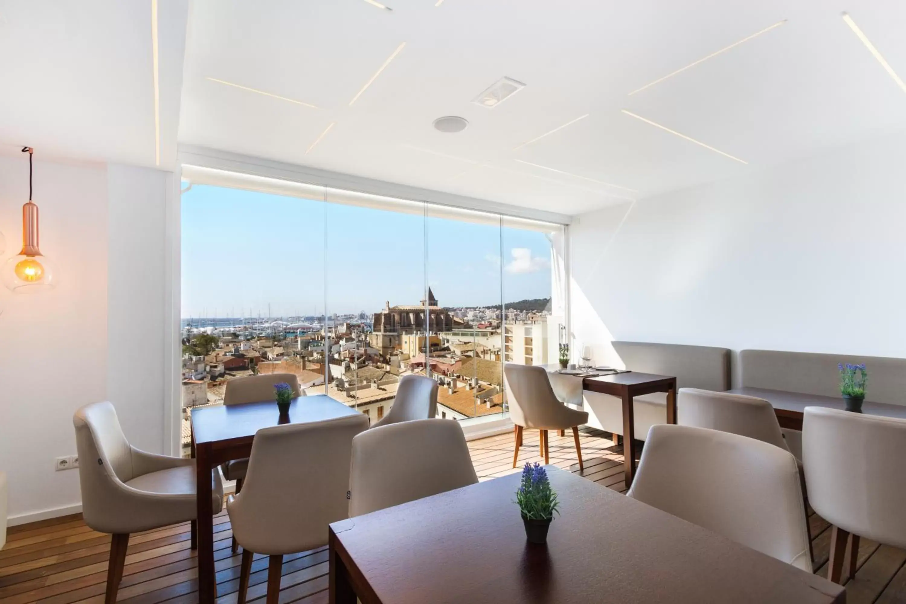 Lounge or bar in Hotel Almudaina Lounge or bar in Hotel Almudaina