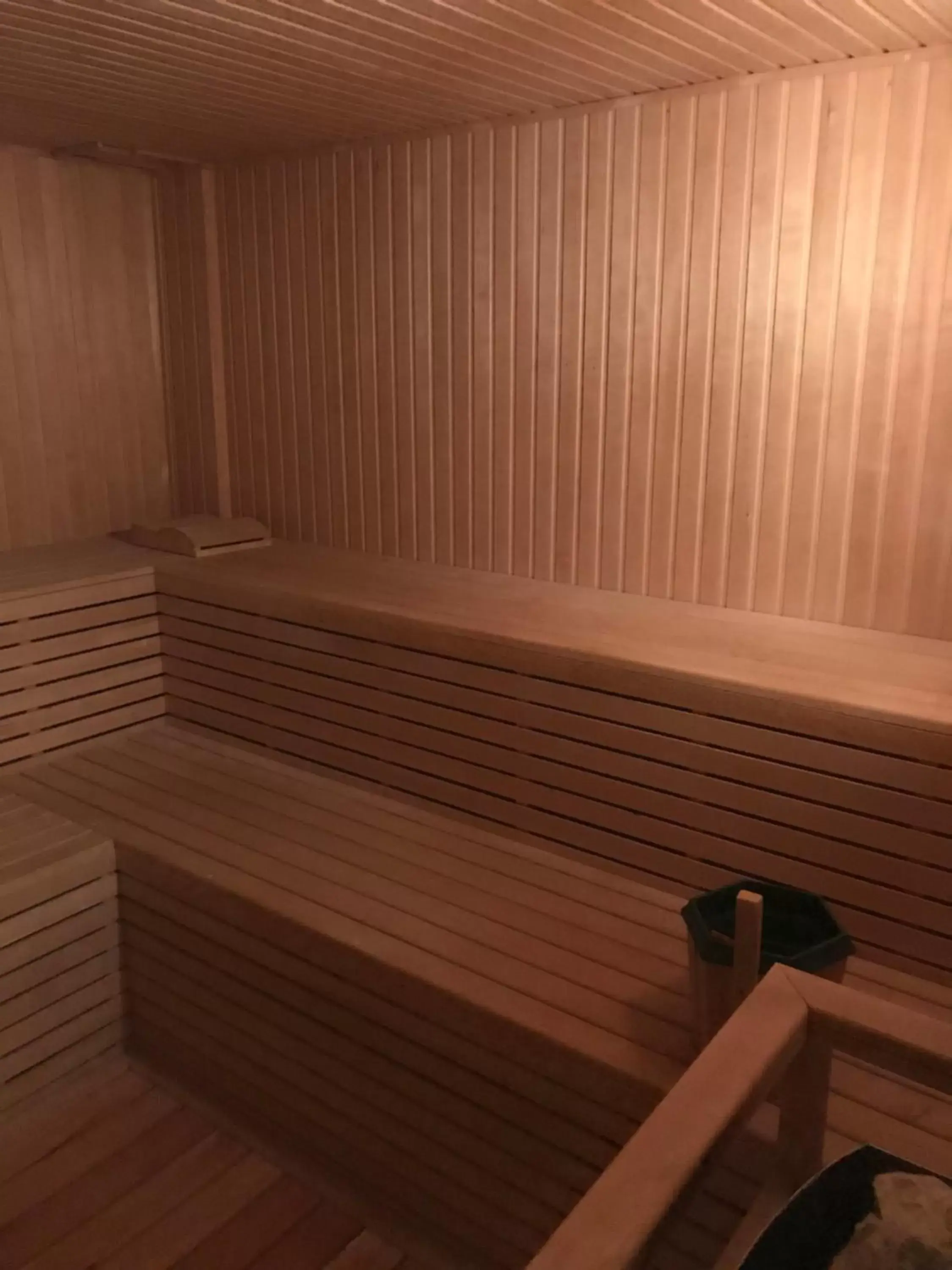 Sauna in Agua del Corral Hotel & Spa