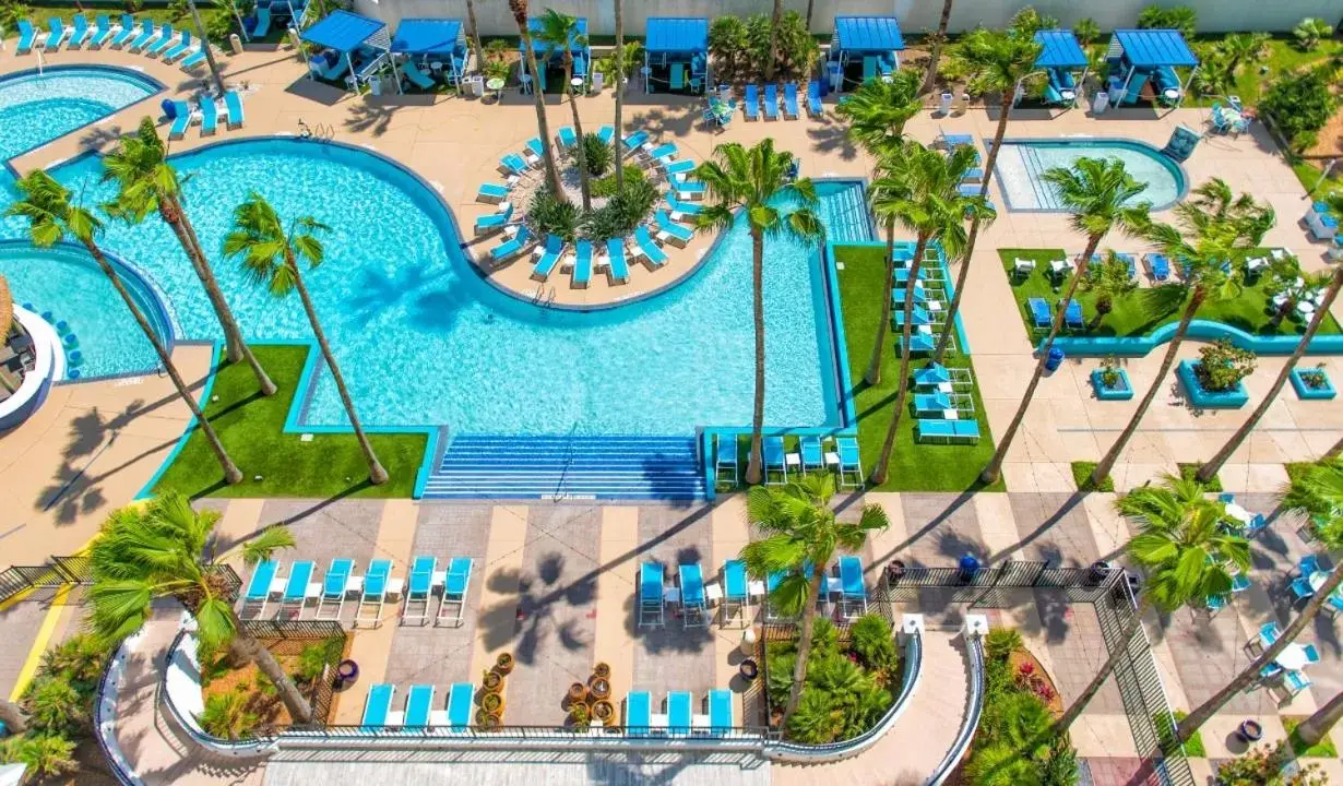 Swimming pool, Pool View in Margaritaville Beach Resort South Padre Island