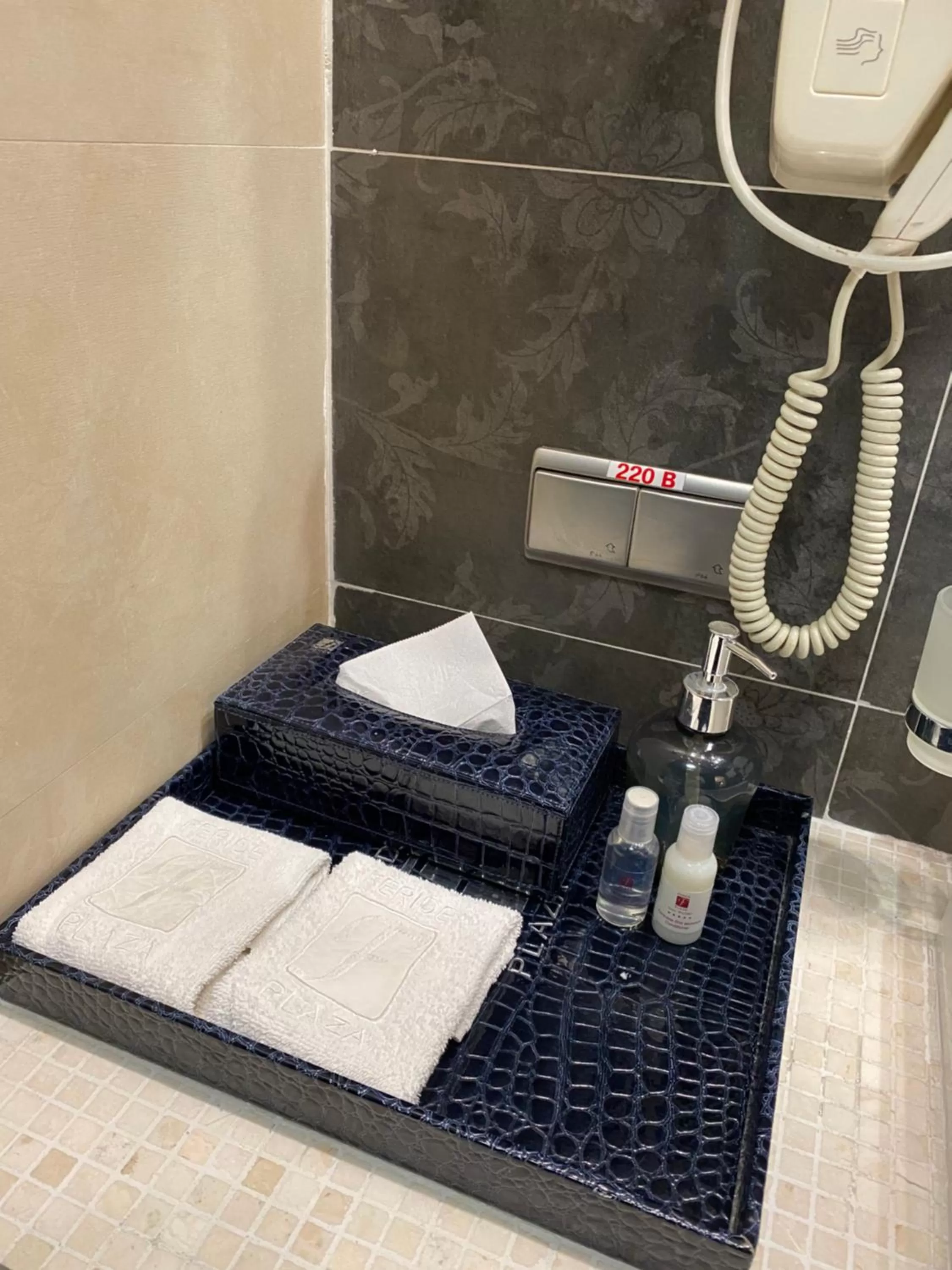 Shower in Hotel Feride