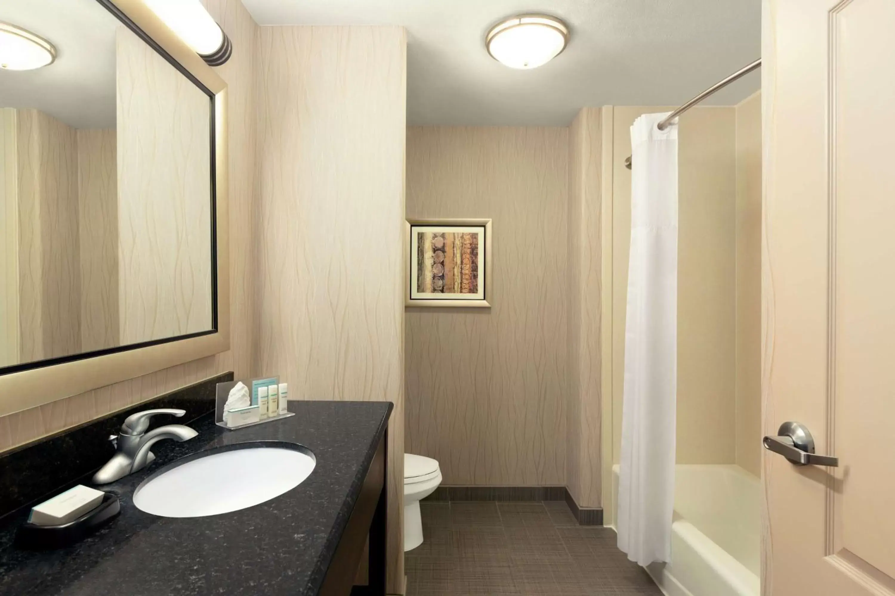 Bathroom in Hampton Inn and Suites Houston Pasadena