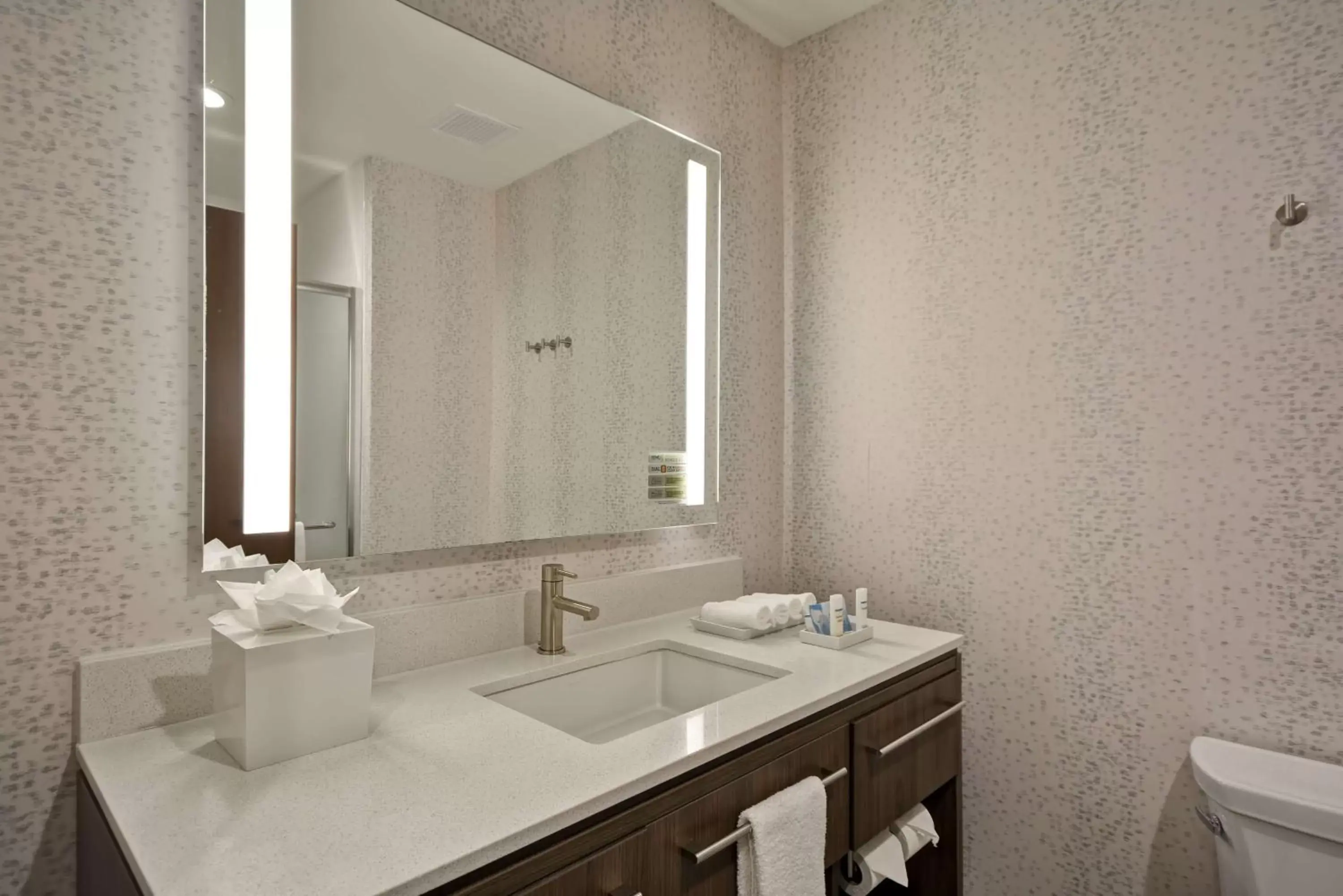 Bathroom in Home 2 Suites By Hilton Fairview Allen