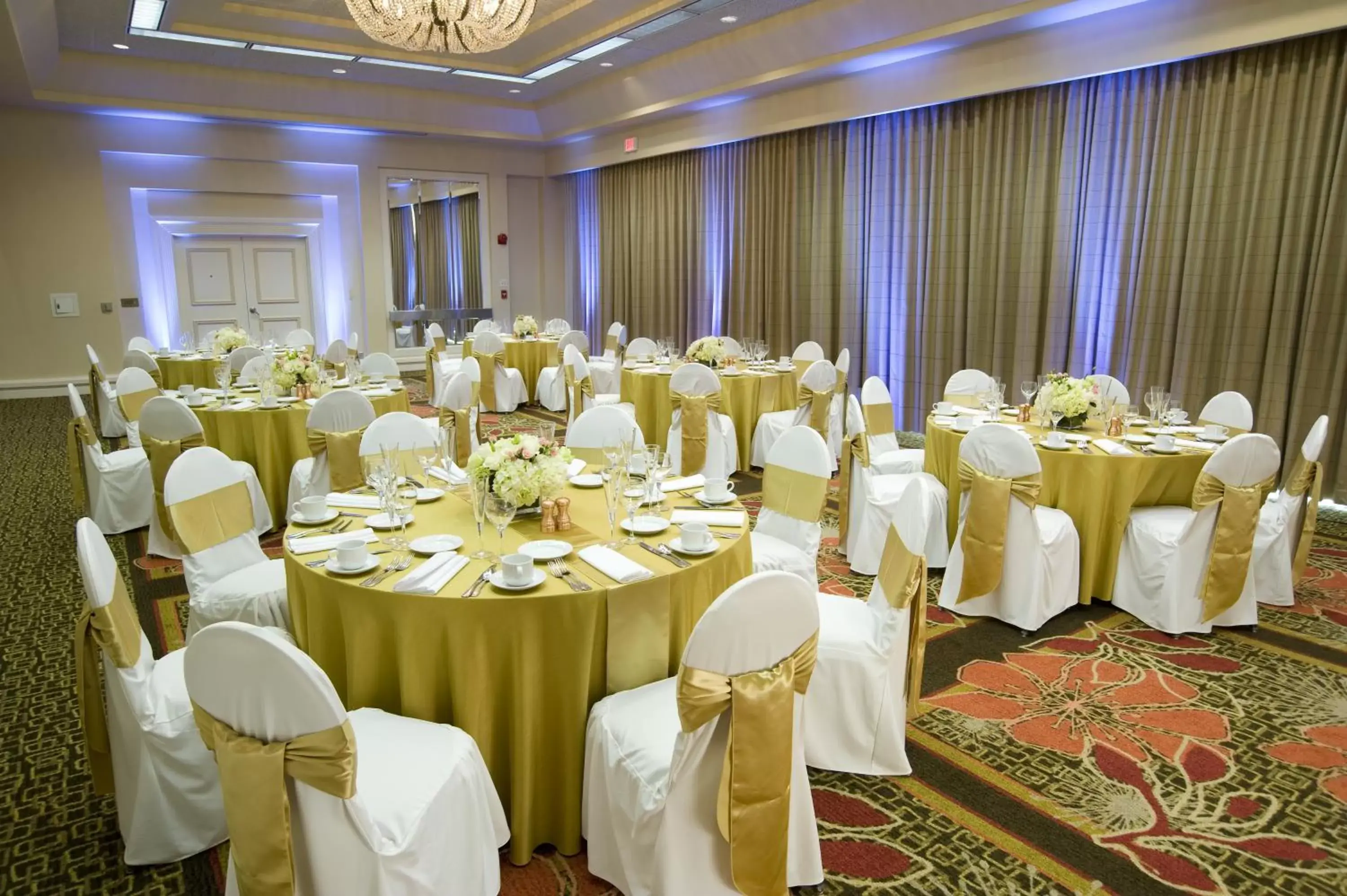 Business facilities, Banquet Facilities in Airtel Plaza Hotel
