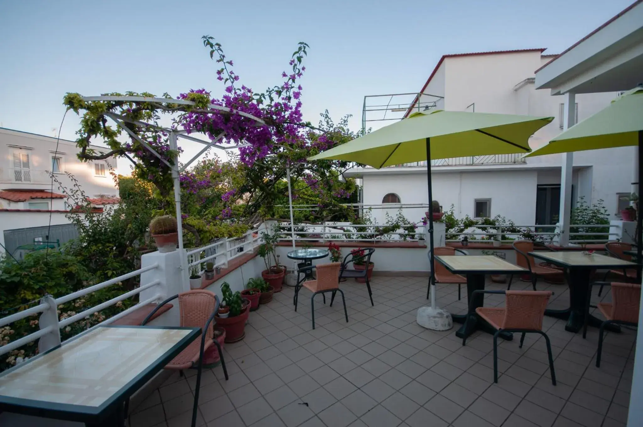 Balcony/Terrace in Hotel Villa Cecilia