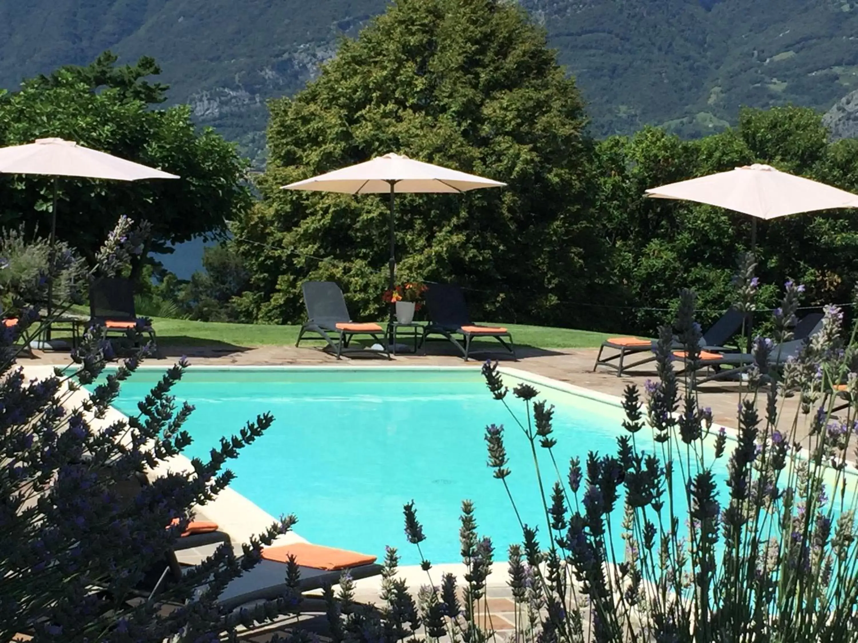 Pool view, Swimming Pool in Il Poggio Di Bellagio